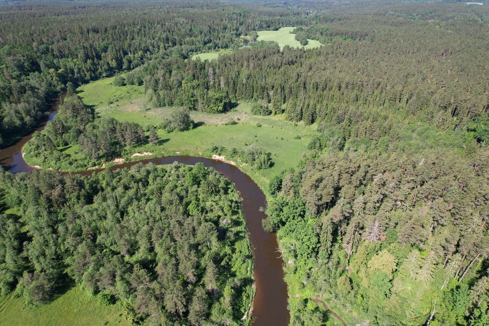 Zemes gabals 9,2 ha, Ģibuļu pagasts — attēls 5