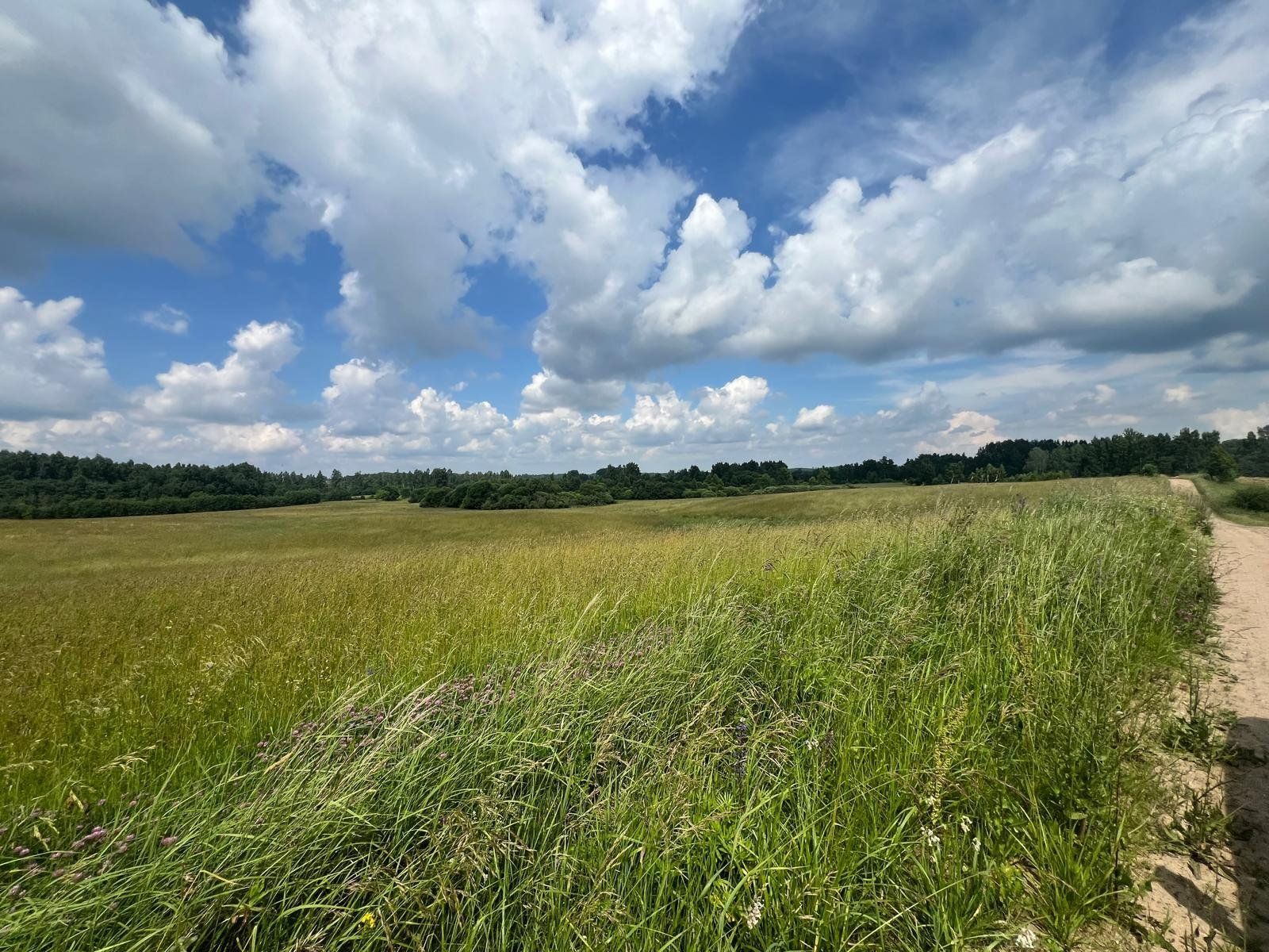 Zemes gabals 30,5 ha, Astašova