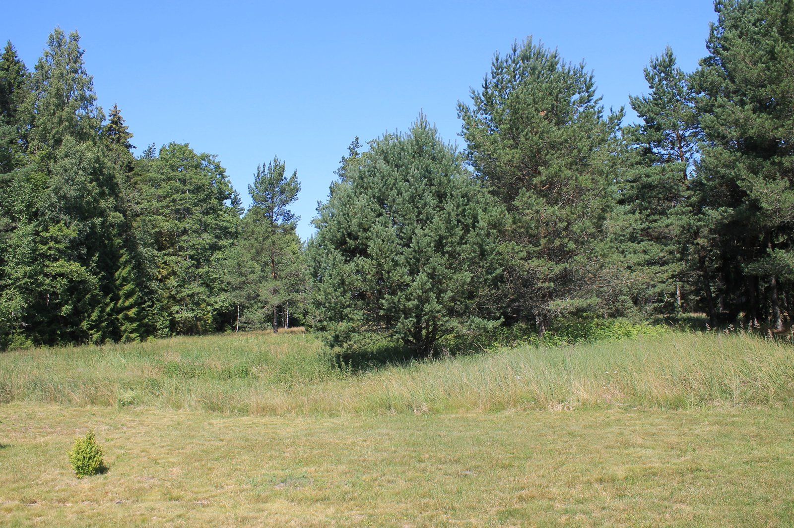 Zemes gabals 3,12 ha, Ēvaži 2, Kolkas pagasts