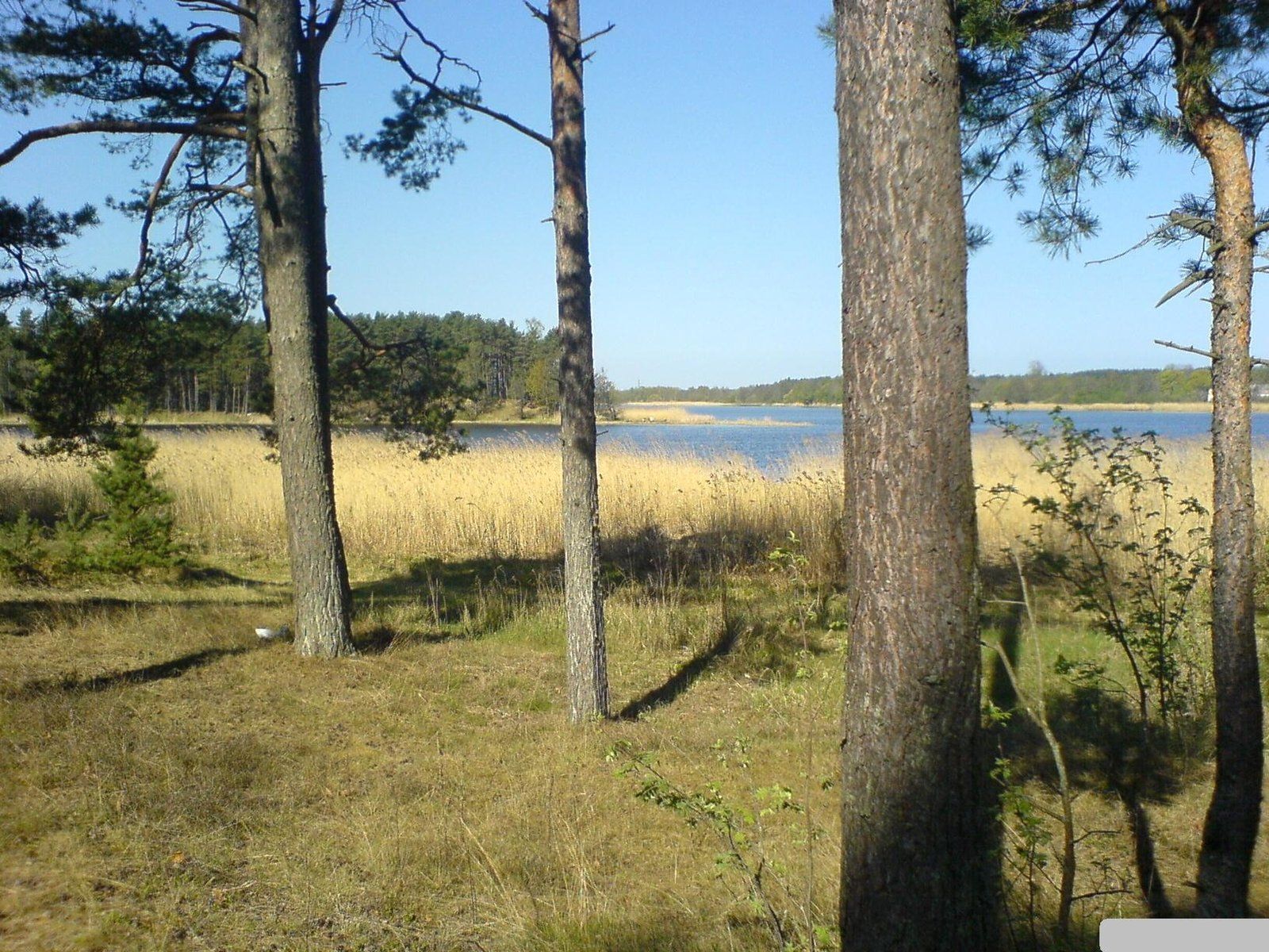 Zemes gabals 23,44 ha, Vārnukroga ceļš, Jūrmala — attēls 2