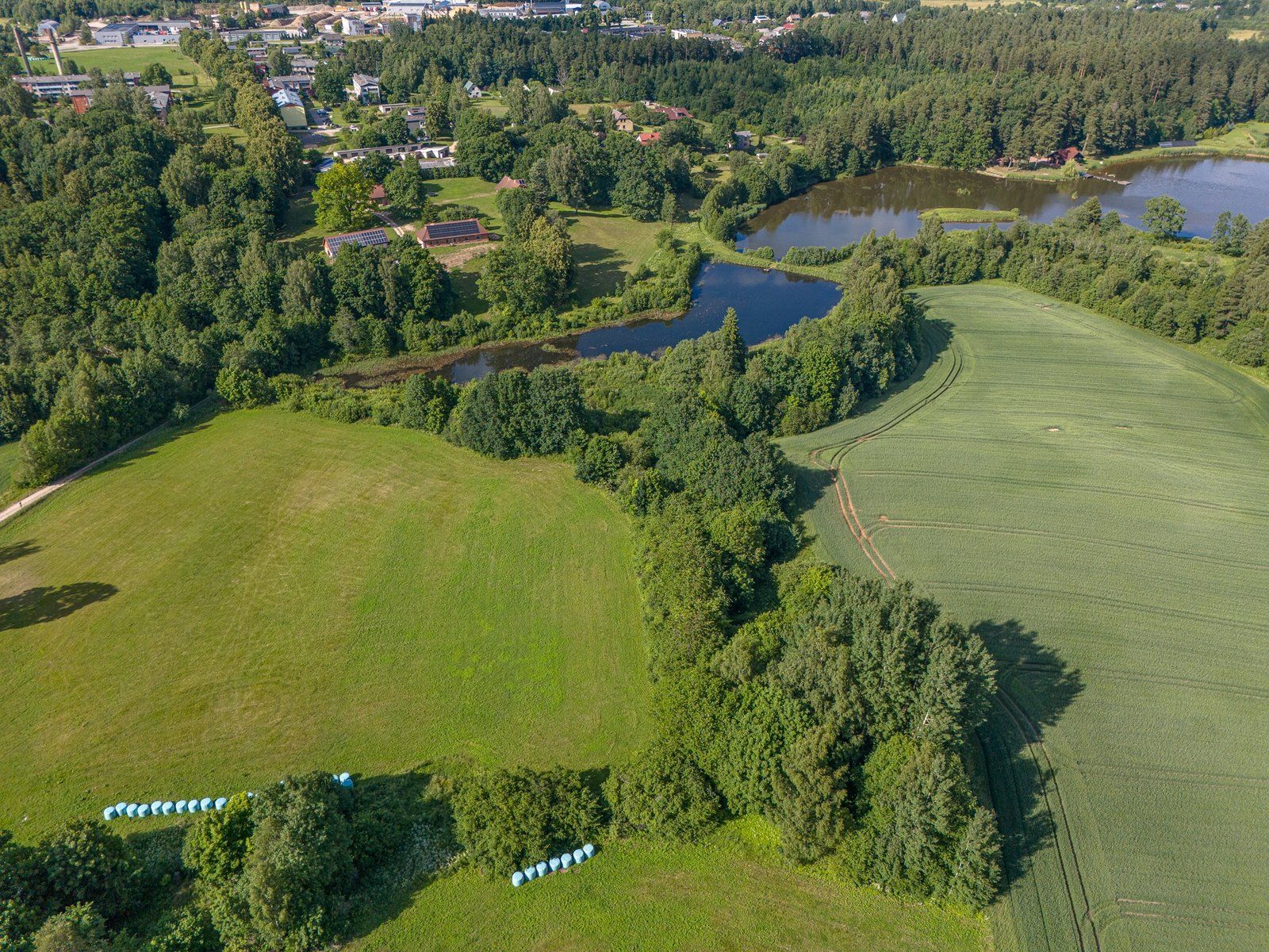 Zemes gabals 2,88 ha, Priedaine — attēls 3