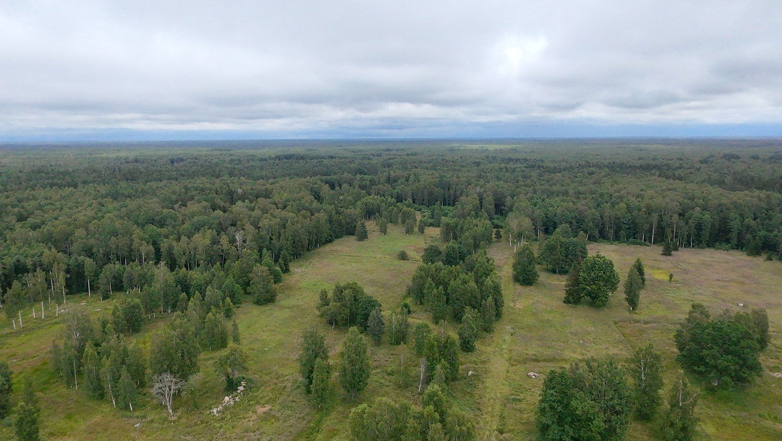 Zemes gabals 10,6 ha, Liepupes pagasts — attēls 3