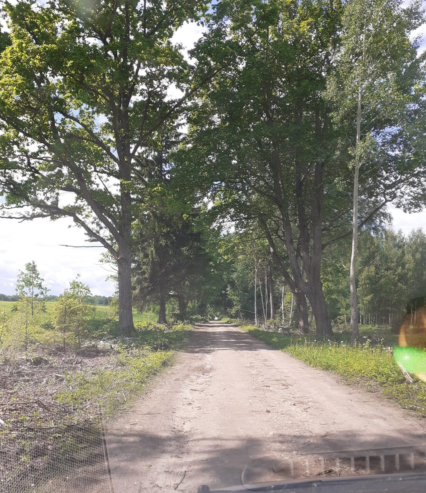 Zemes gabals 3600 m², Dižolgāres, Smārdes pagasts — attēls 2