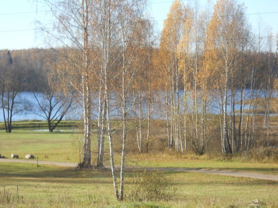 Zemes gabals 1,83 ha, Kokneses pagasts — attēls 2
