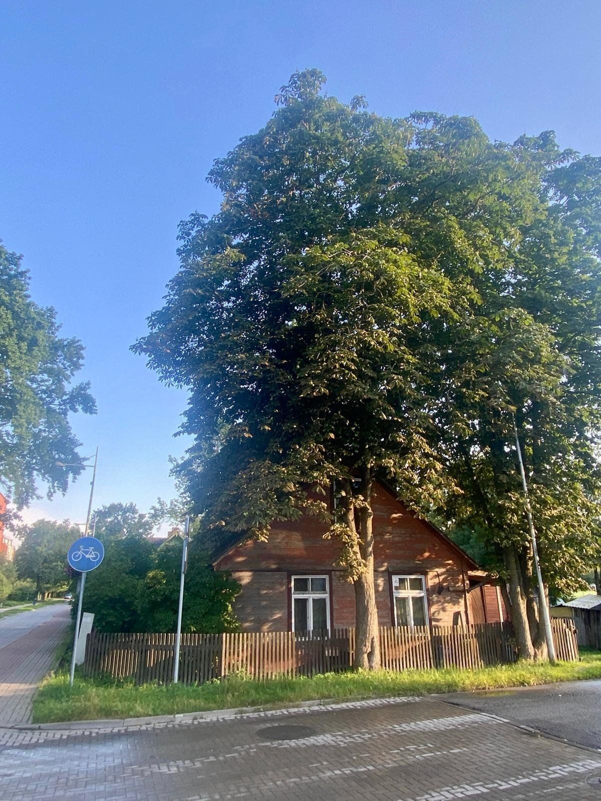 Zemes gabals 1568 m², Raiņa iela 45, Jūrmala — attēls 2