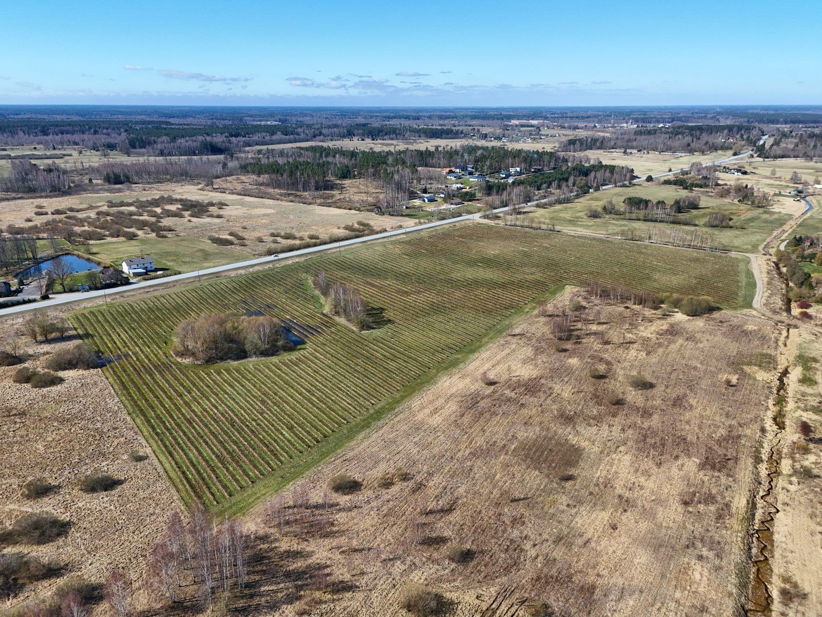Zemes gabals 10,29 ha, Ķekavas pagasts — attēls 3