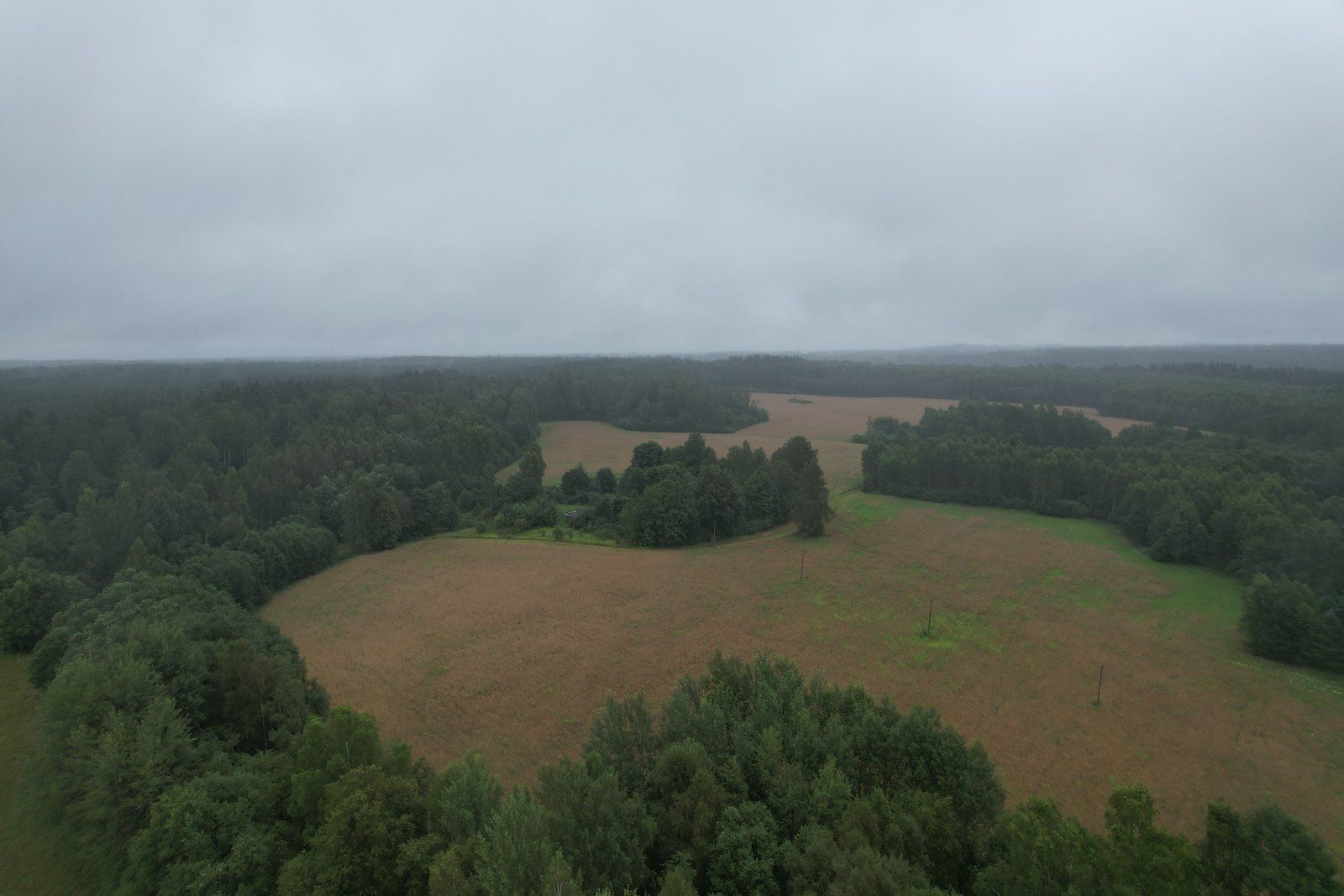 Zemes gabals 18,7 ha, Raiskuma pagasts