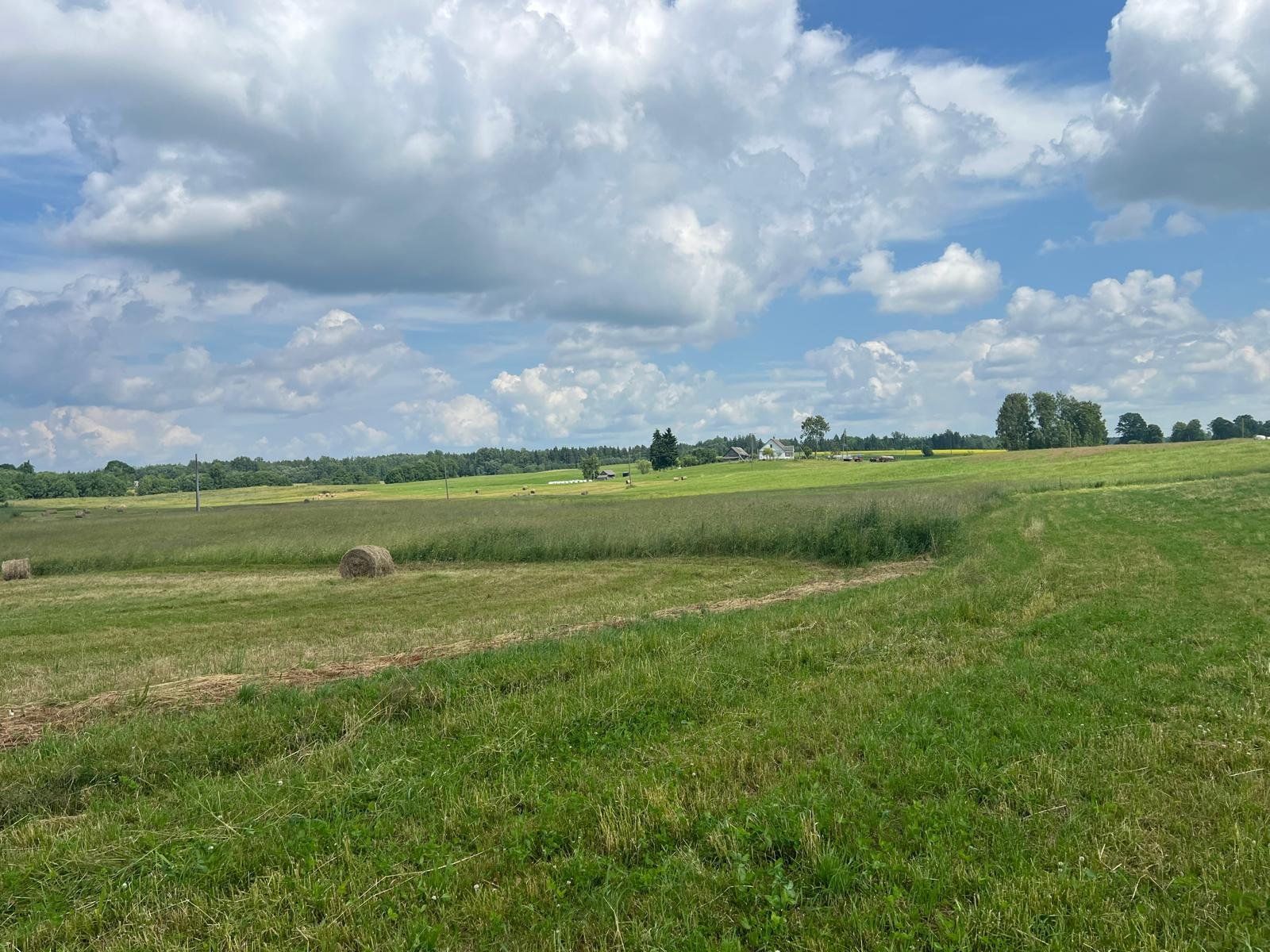 Zemes gabals 30,5 ha, Astašova — attēls 3