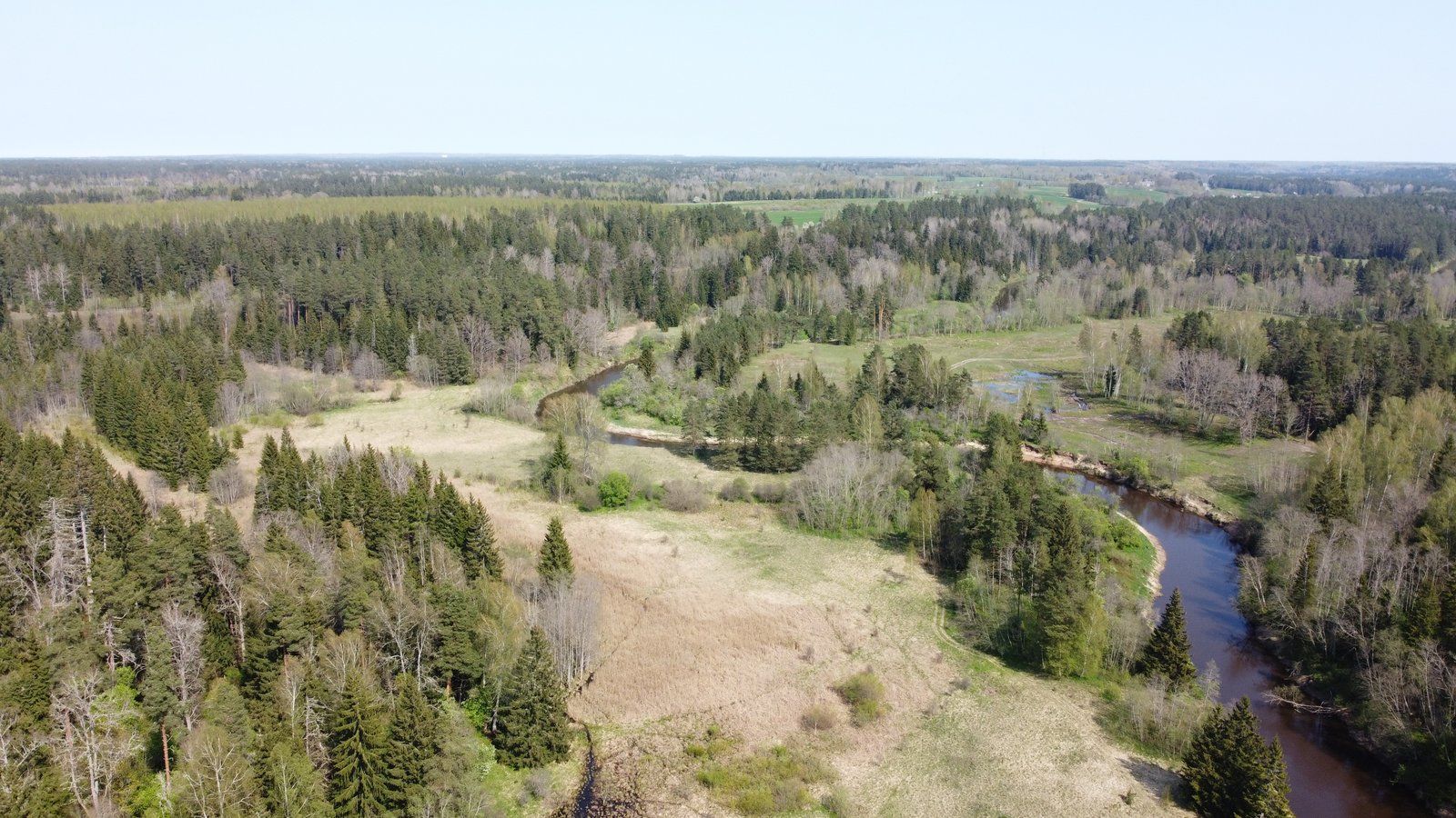 Zemes gabals 9,2 ha, Ģibuļu pagasts — attēls 2