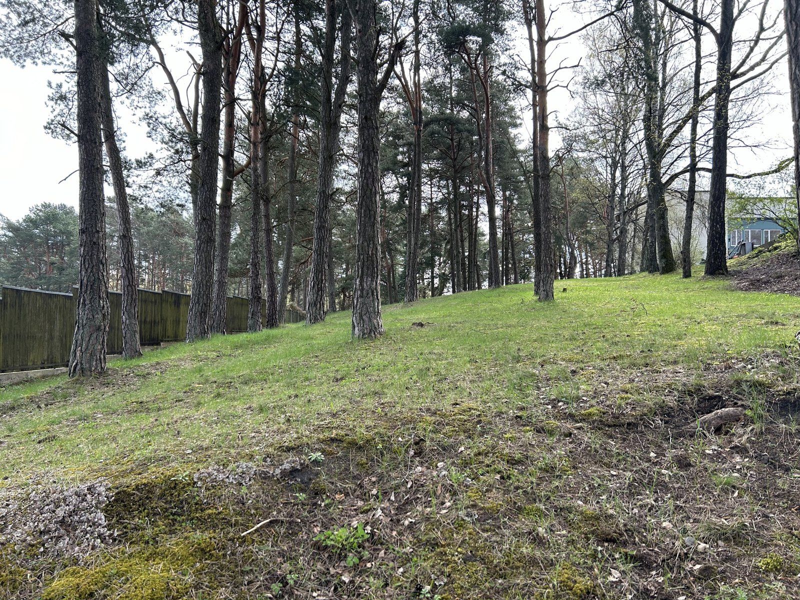 Zemes gabals 3188 m², Jaunciema 4. šķērslīnija 6B, Rīga