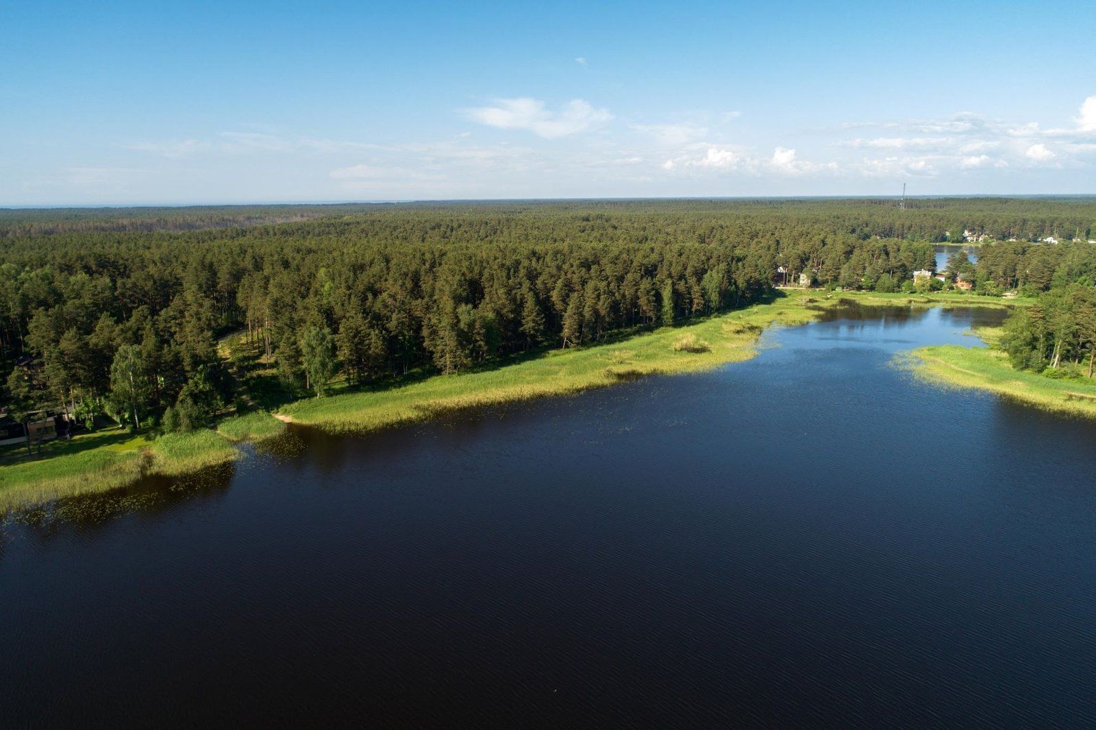 Zemes gabals 4453 m², Laimdotas iela 7, Carnikavas pagasts