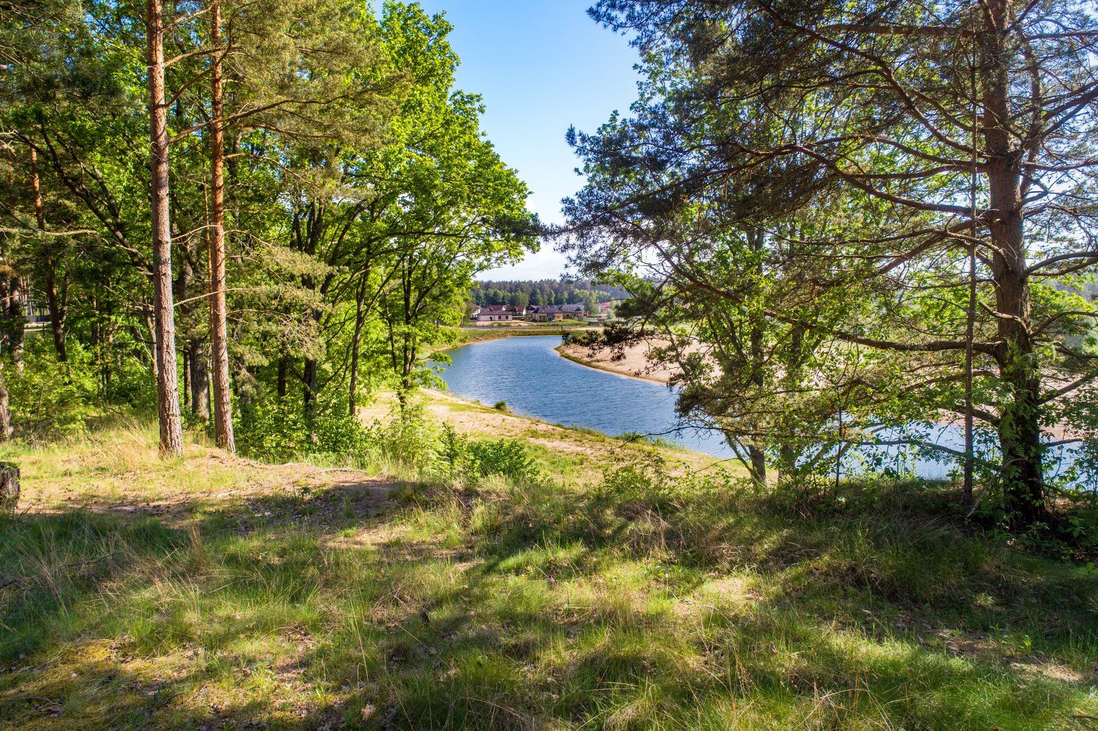 Zemes gabals 4855 m², Zābaku iela 21, Ādažu pagasts — attēls 2