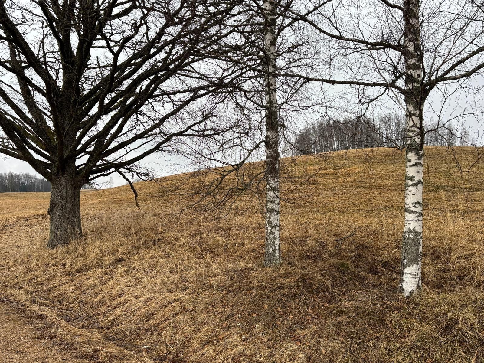 Zemes gabals 1,85 ha, Alūksne — attēls 4