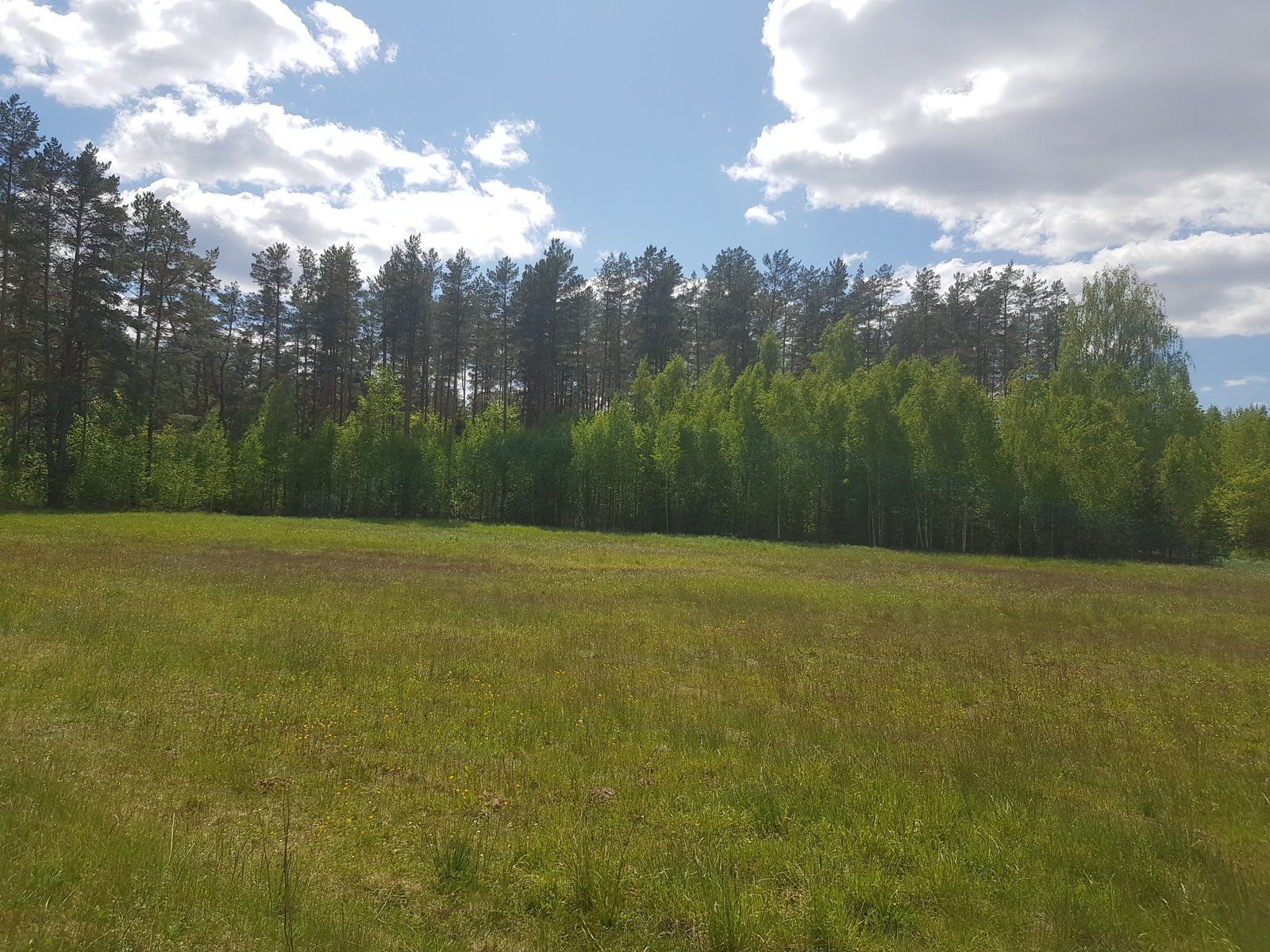 Zemes gabals 3,6 ha, Boķu iela 2, Ādažu pagasts — attēls 3
