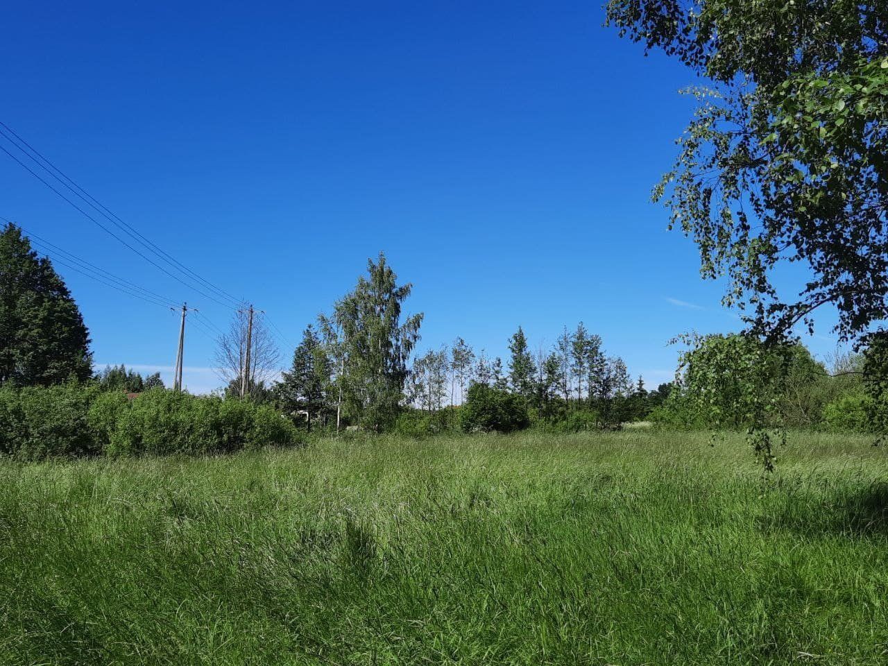 Zemes gabals 1,5 ha, Jaunciema gatve, Rīga — attēls 3