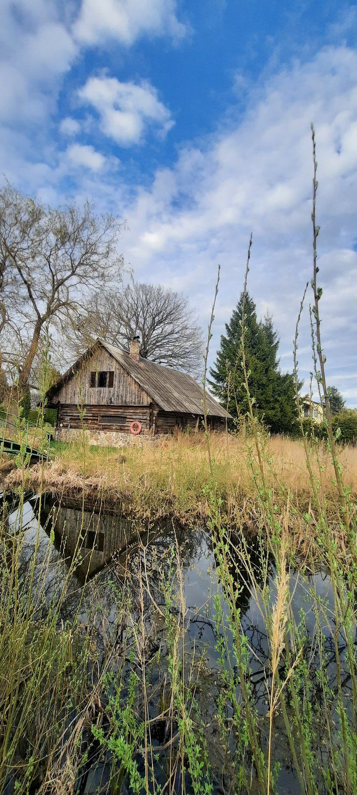 Zemes gabals 2342 m², Vimbu iela 4, Skultes pagasts — attēls 5