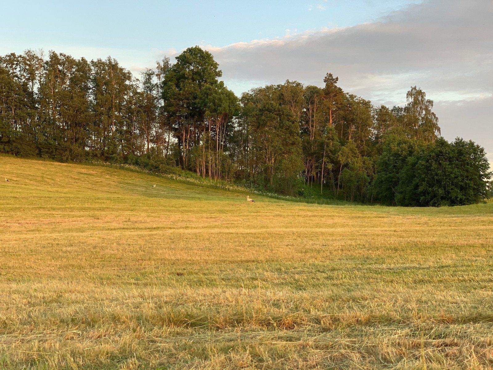 Zemes gabals 1,85 ha, Alūksne — attēls 2