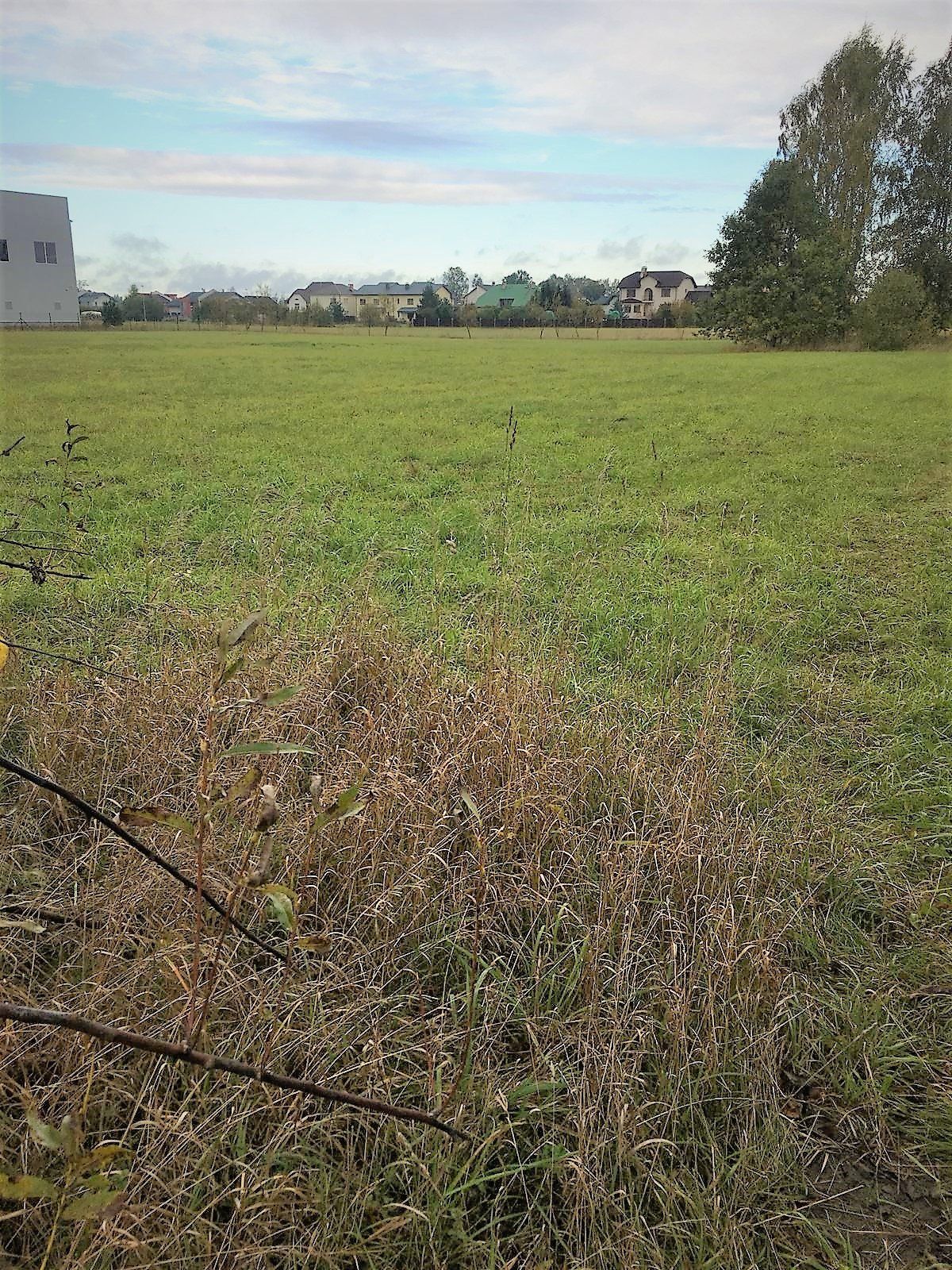 Zemes gabals 1,8 ha, Daugavas iela 30, Mārupe — attēls 2