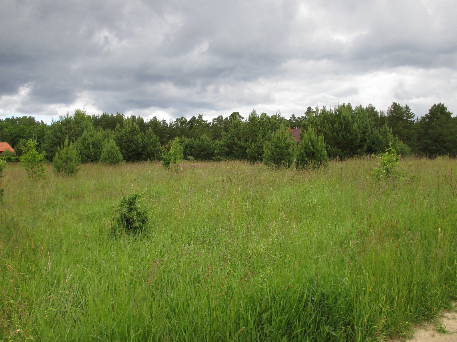 Zemes gabals 2425 m², Žocene