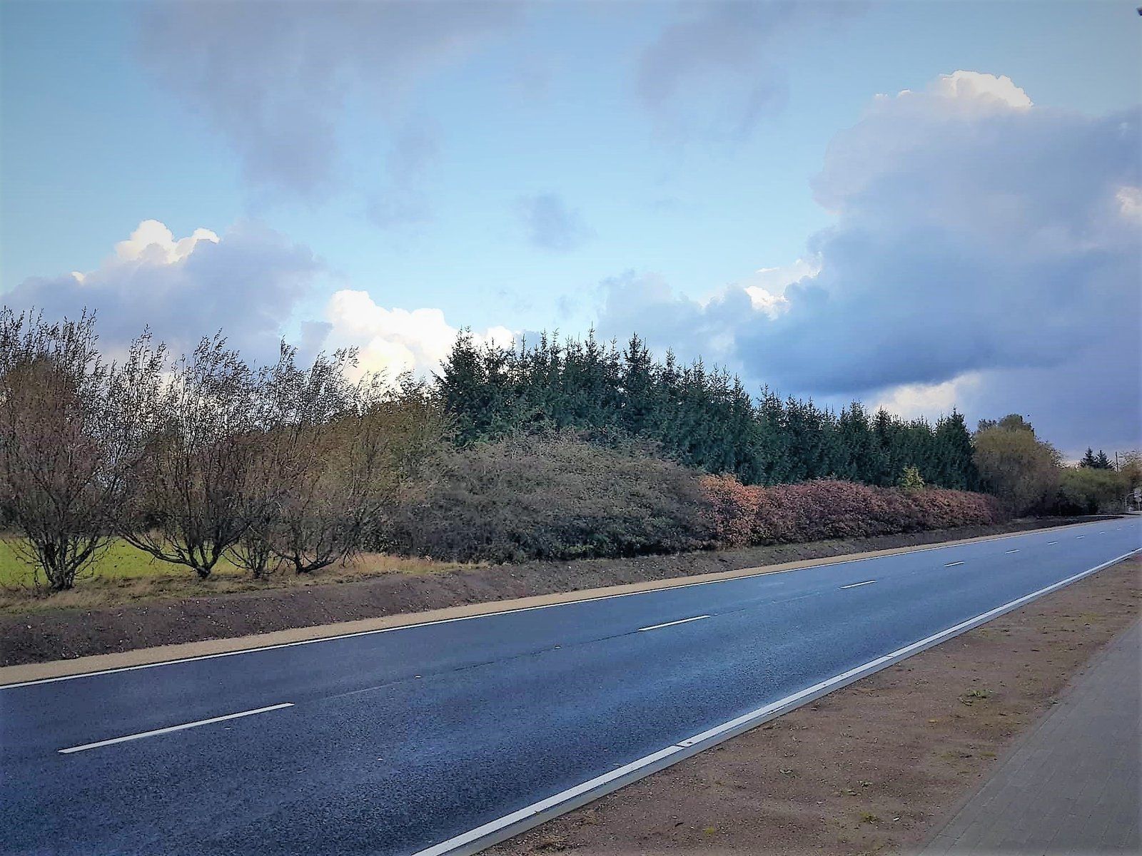 Zemes gabals 1,8 ha, Daugavas iela 30, Mārupe — attēls 3