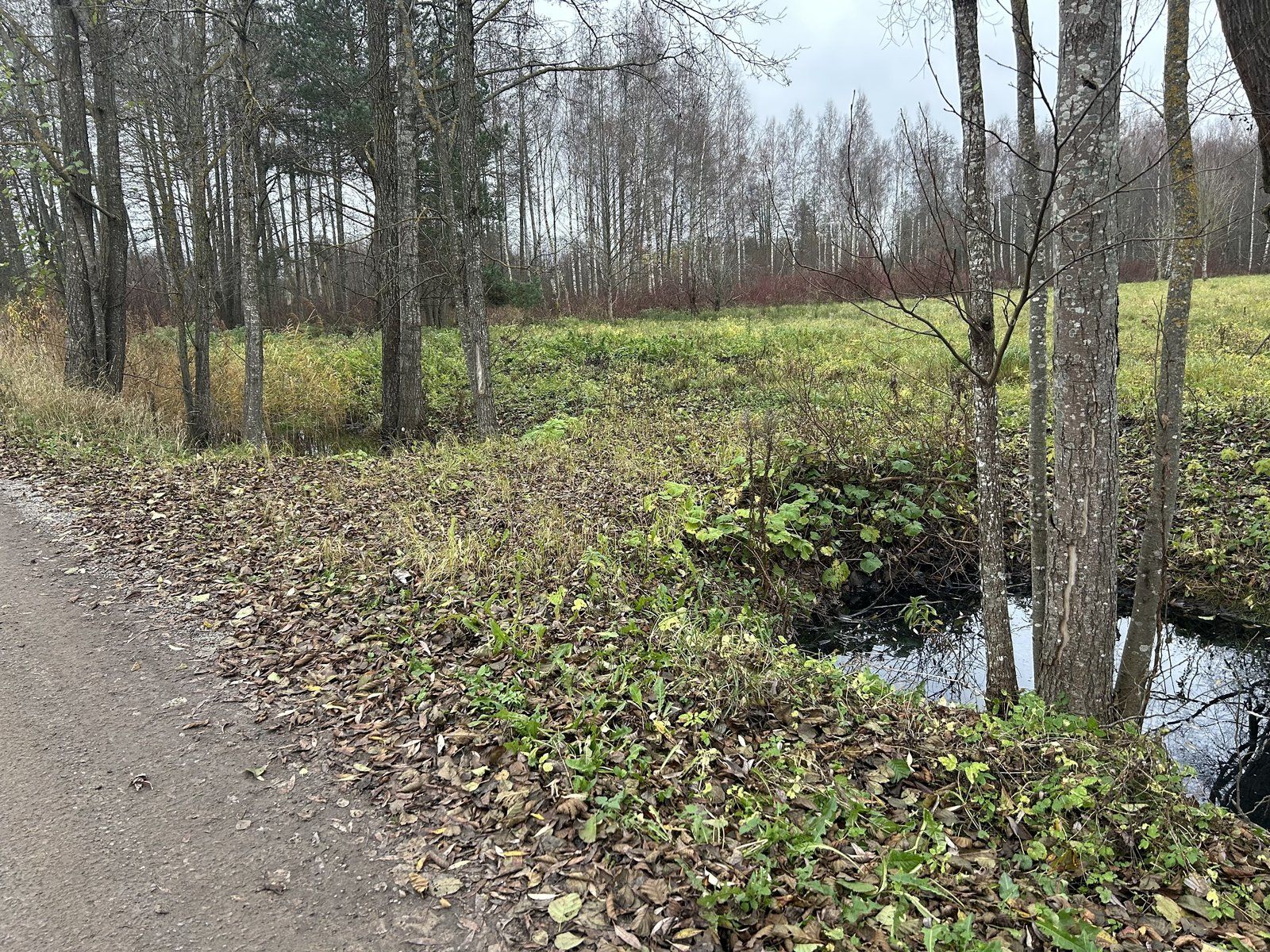 Zemes gabals 9654 m², Mūkupurva iela 2, Rīga — attēls 3