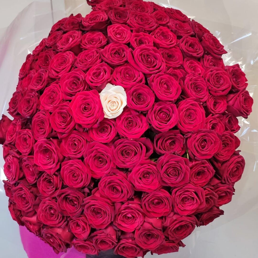 101 roze