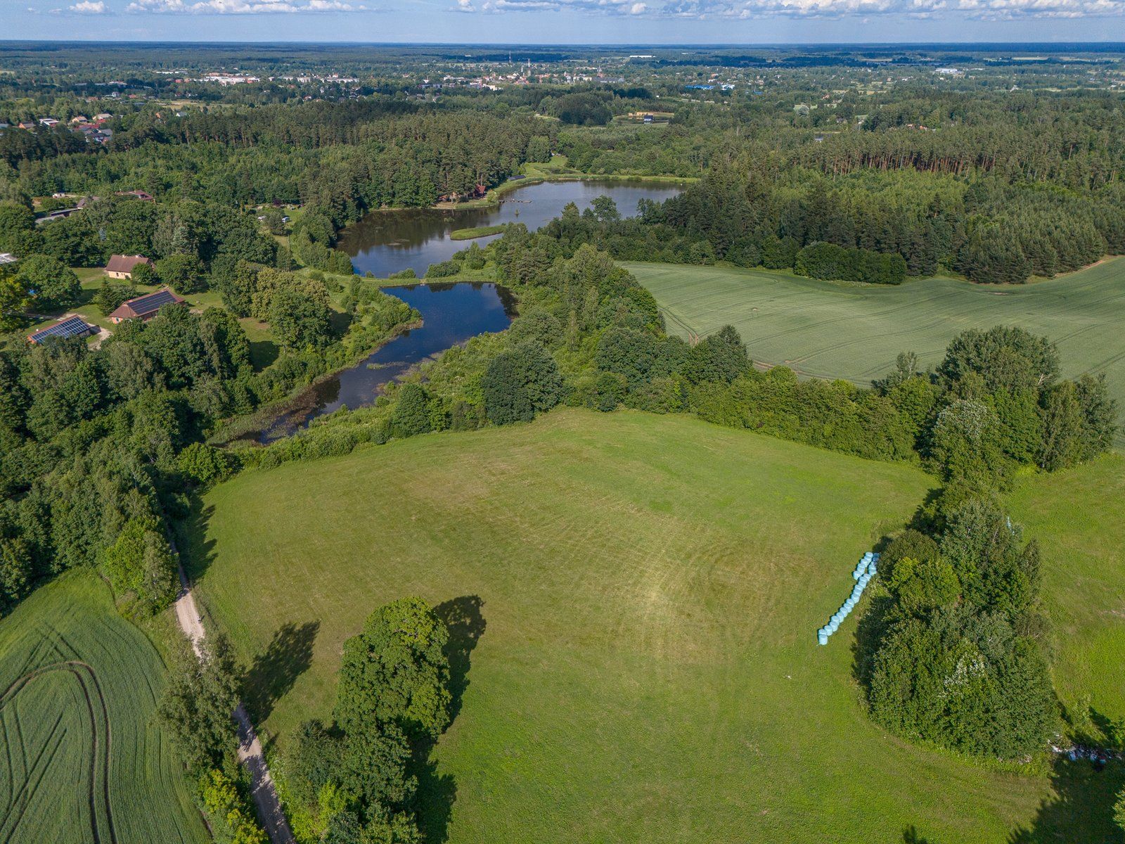 Zemes gabals 2,88 ha, Priedaine — attēls 2