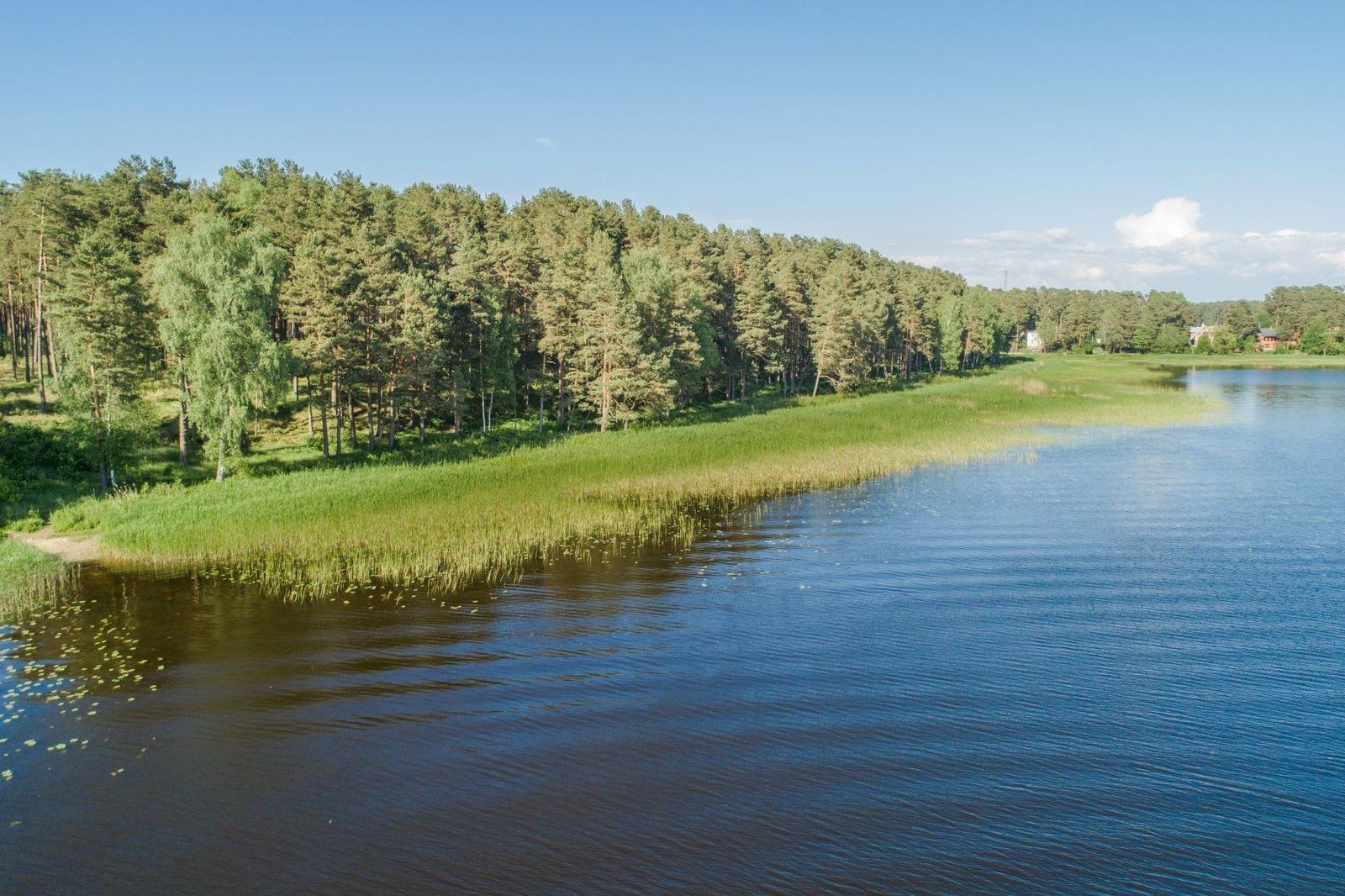 Zemes gabals 4189 m², Virsaišu iela 11, Carnikavas pagasts — attēls 5