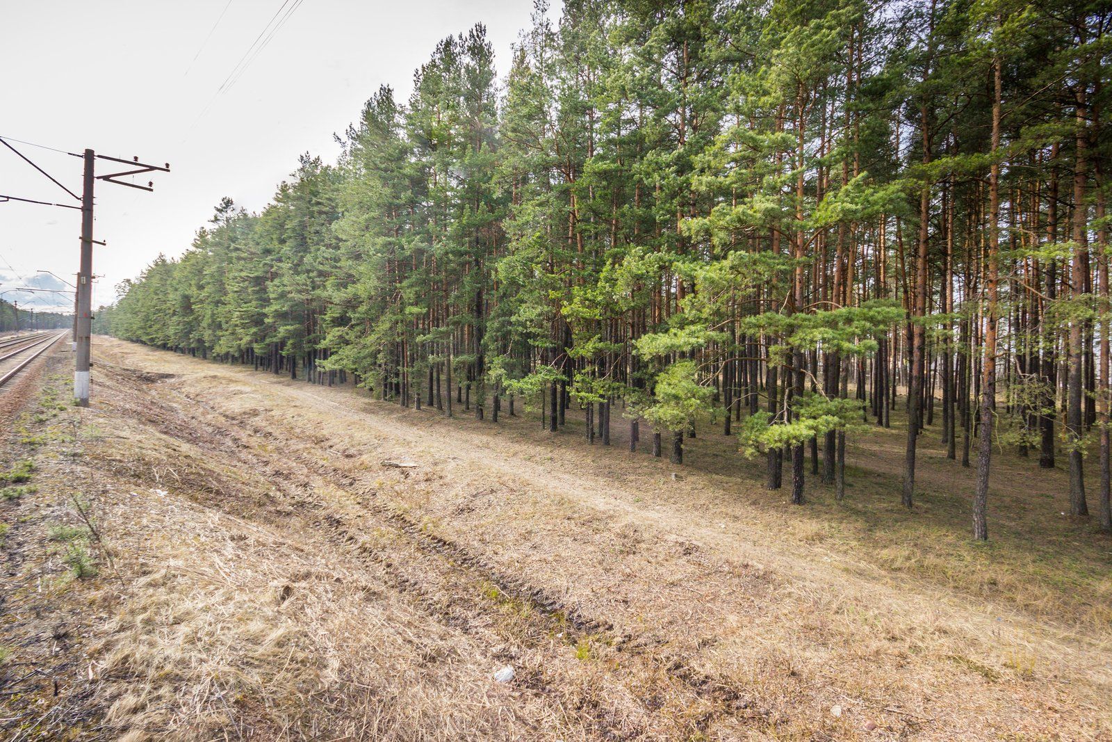 Zemes gabals 5165 m², Vecāķu prospekts, Rīga