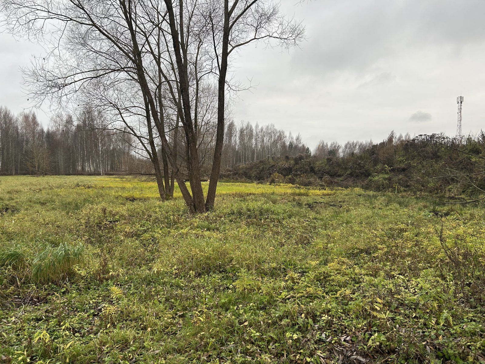 Zemes gabals 9654 m², Mūkupurva iela 2, Rīga — attēls 2