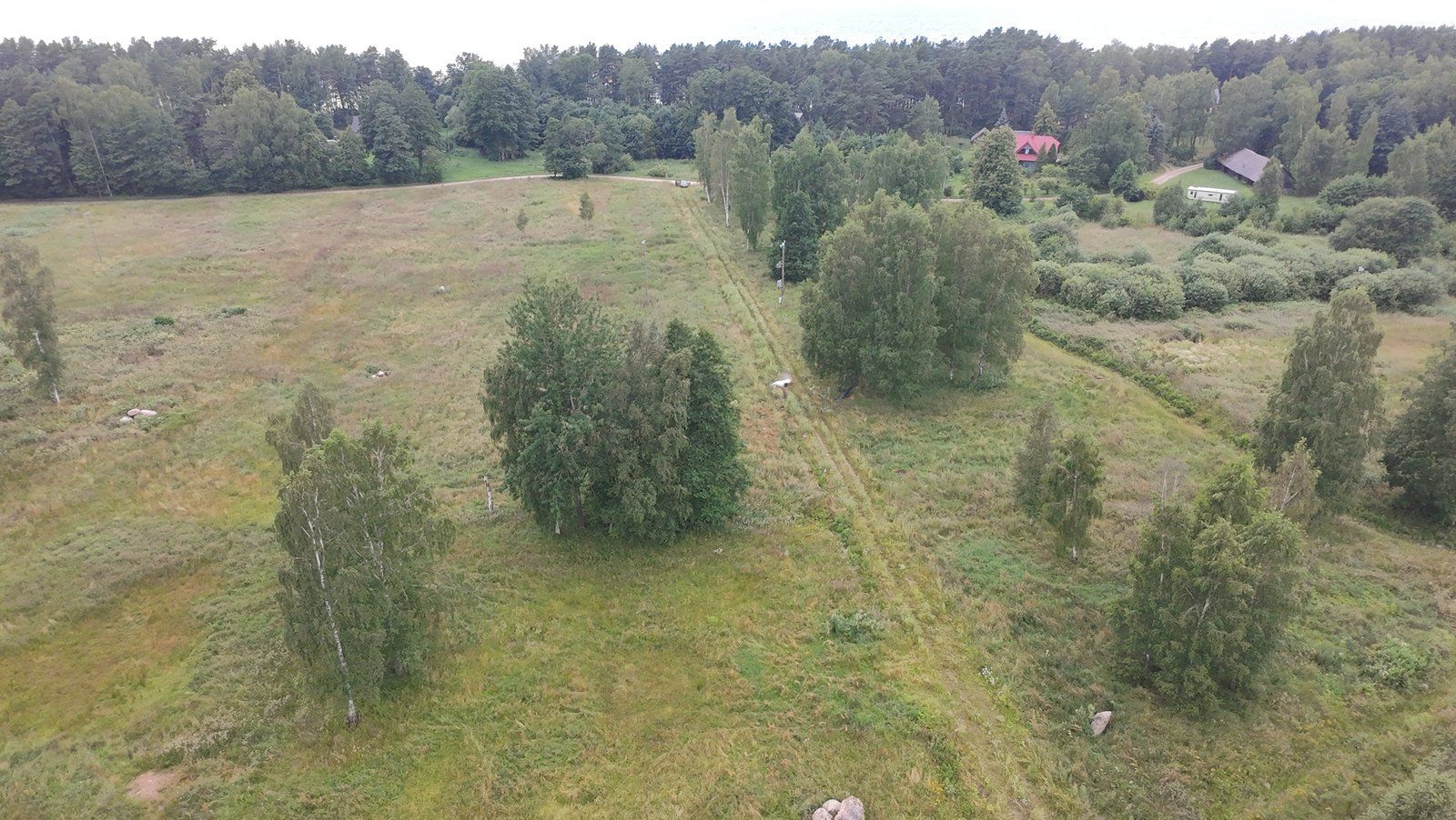Zemes gabals 17,74 ha, Liepupes pagasts — attēls 3