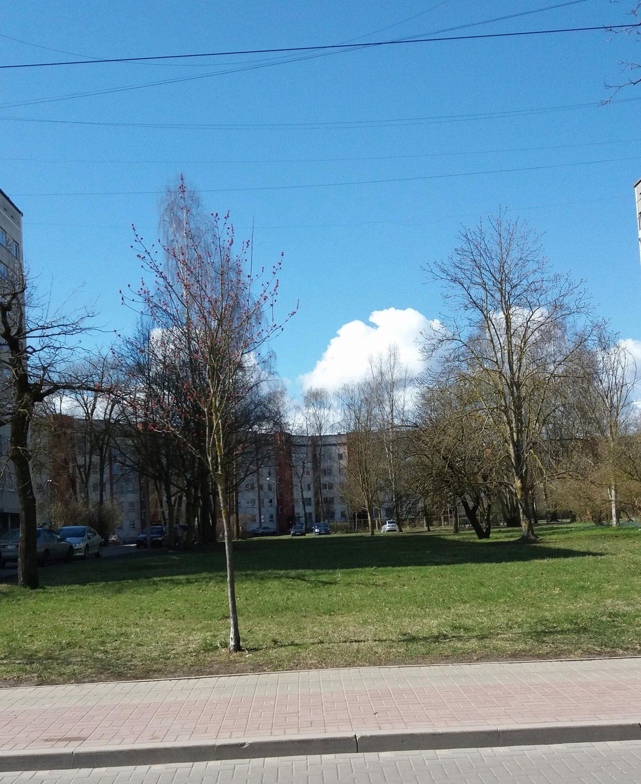 Zemes gabals 2615 m², Jūrmala