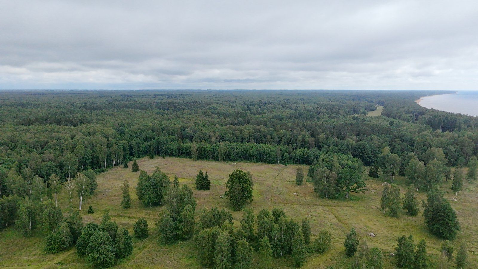 Zemes gabals 17,74 ha, Liepupes pagasts — attēls 5