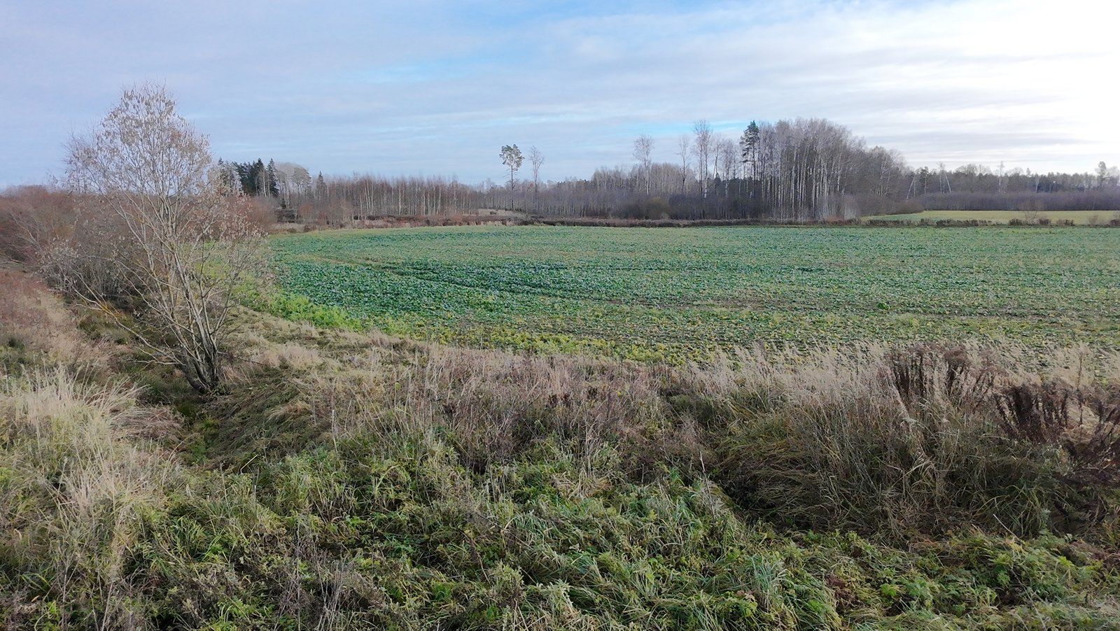 Zemes gabals 14,51 ha, Baldones pagasts — attēls 5