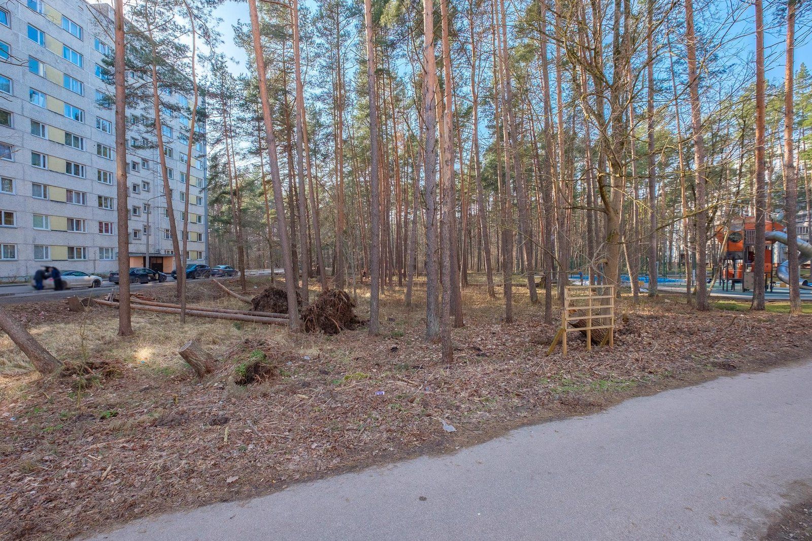 Zemes gabals 3685 m², Skolas iela 29A, Jūrmala — attēls 5