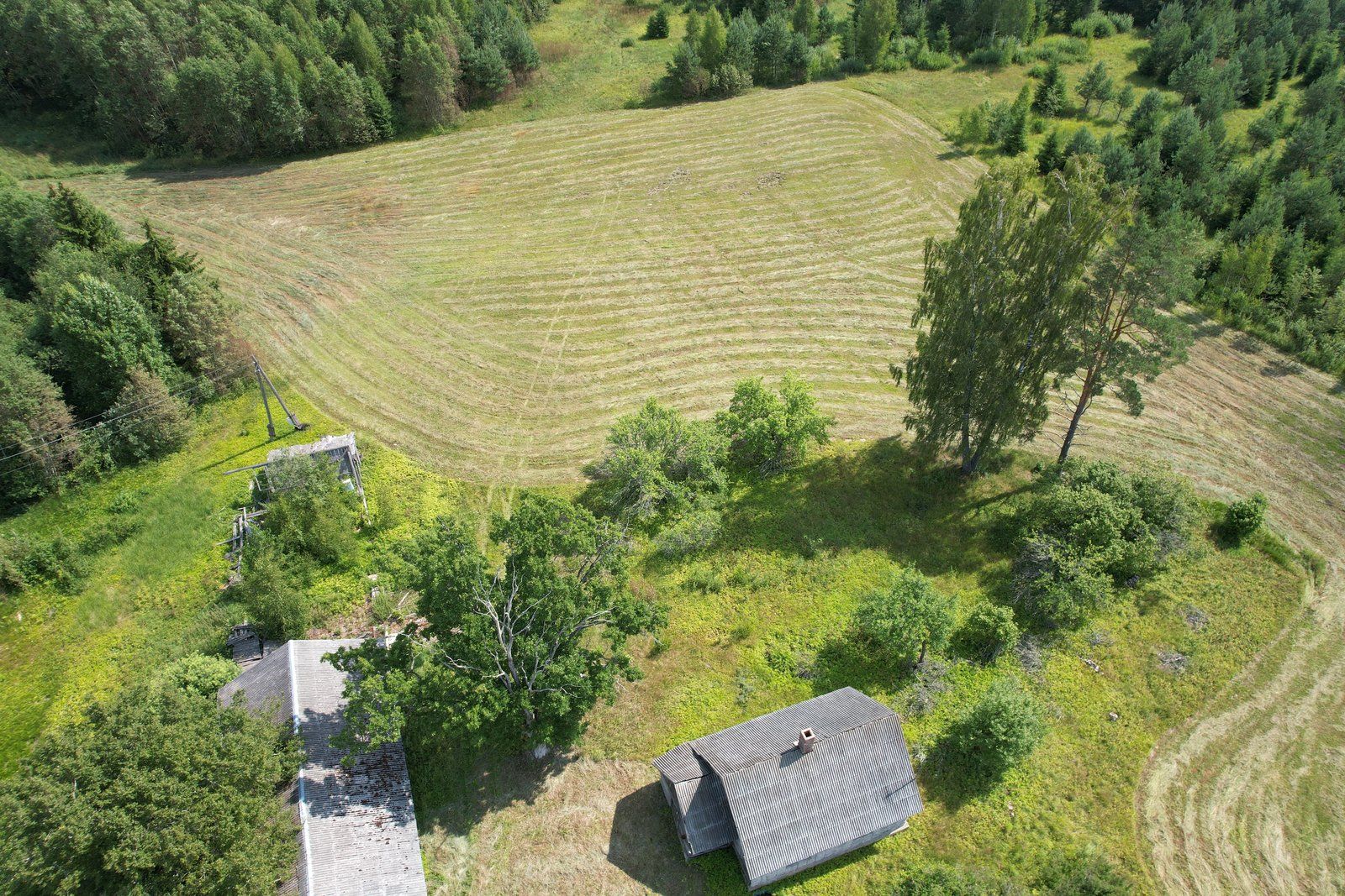 Zemes gabals 9,7 ha, Stāmerienas pagasts — attēls 5
