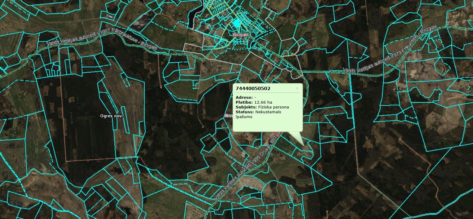 Zemes gabals 42,57 ha, Birzgales pagasts — attēls 4
