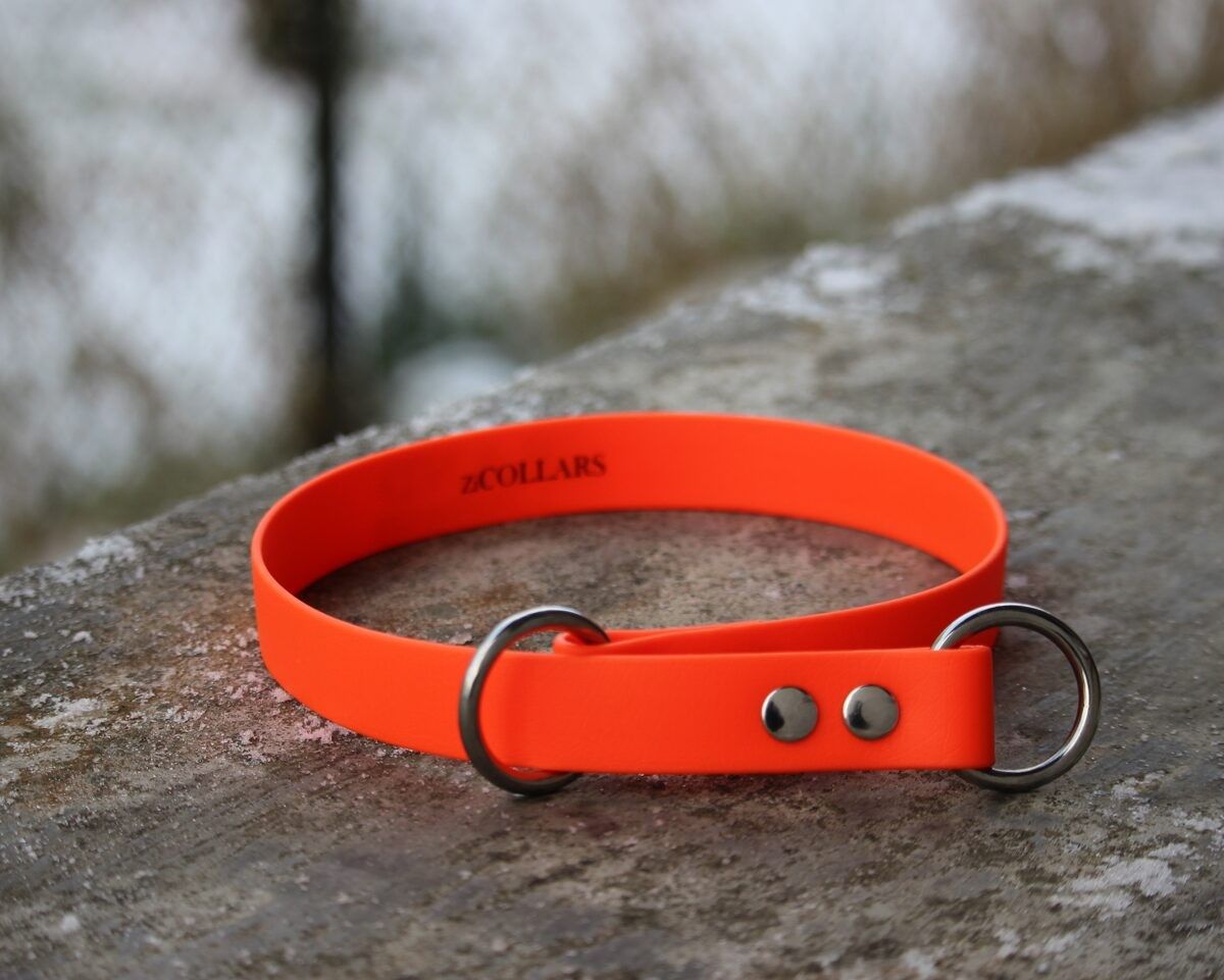 Kakla siksna Zicollars, suņiem, platums 2,5 cm, oranžā krāsā