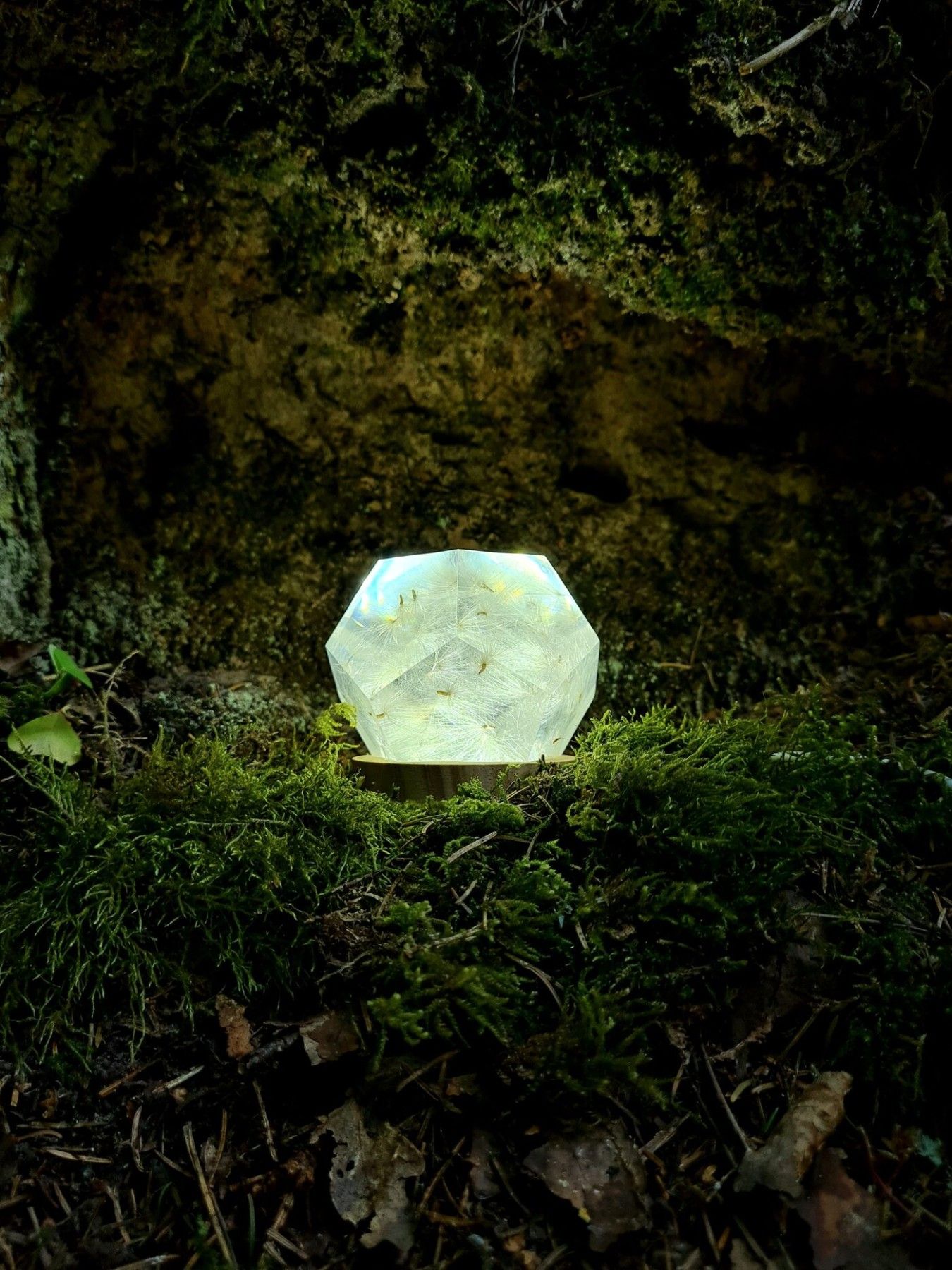 Galda lampa SpiiidBotanics, vēsi balta, baltā krāsā