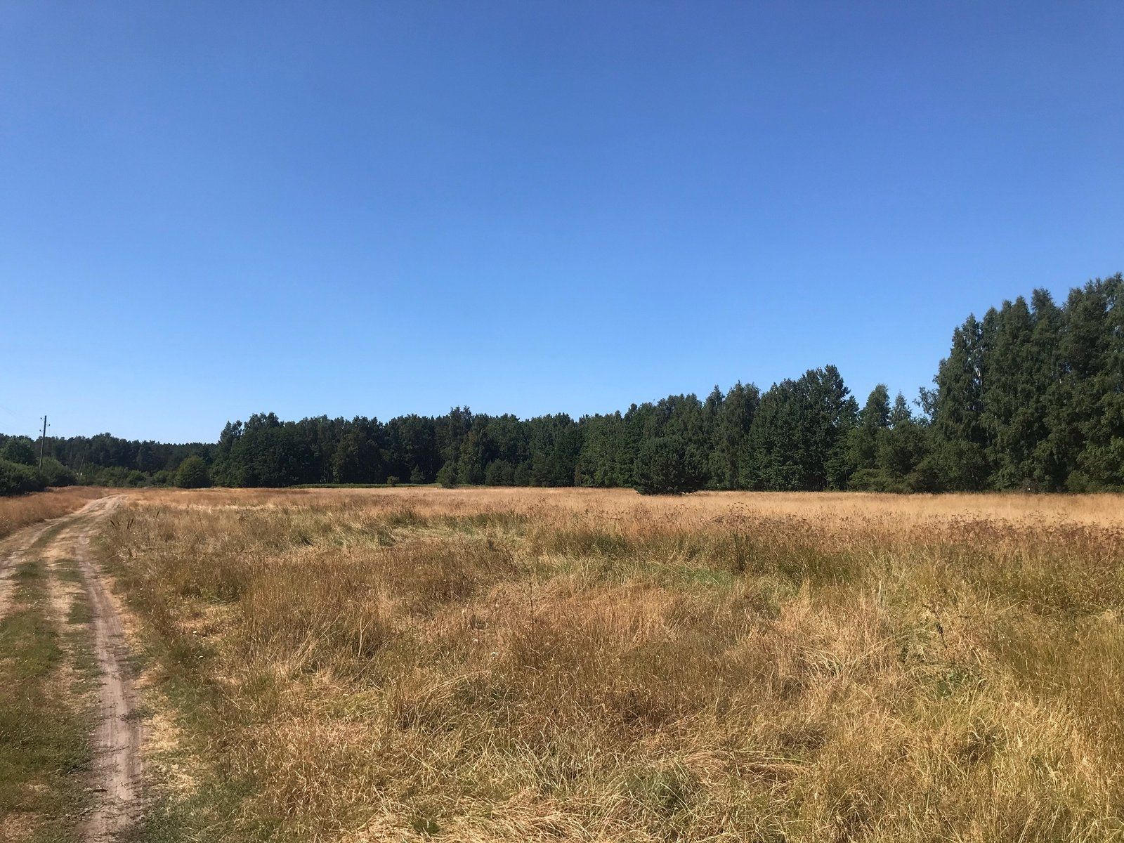 Zemes gabals 3,05 ha, Bākas iela, Mērsraga pagasts — attēls 2