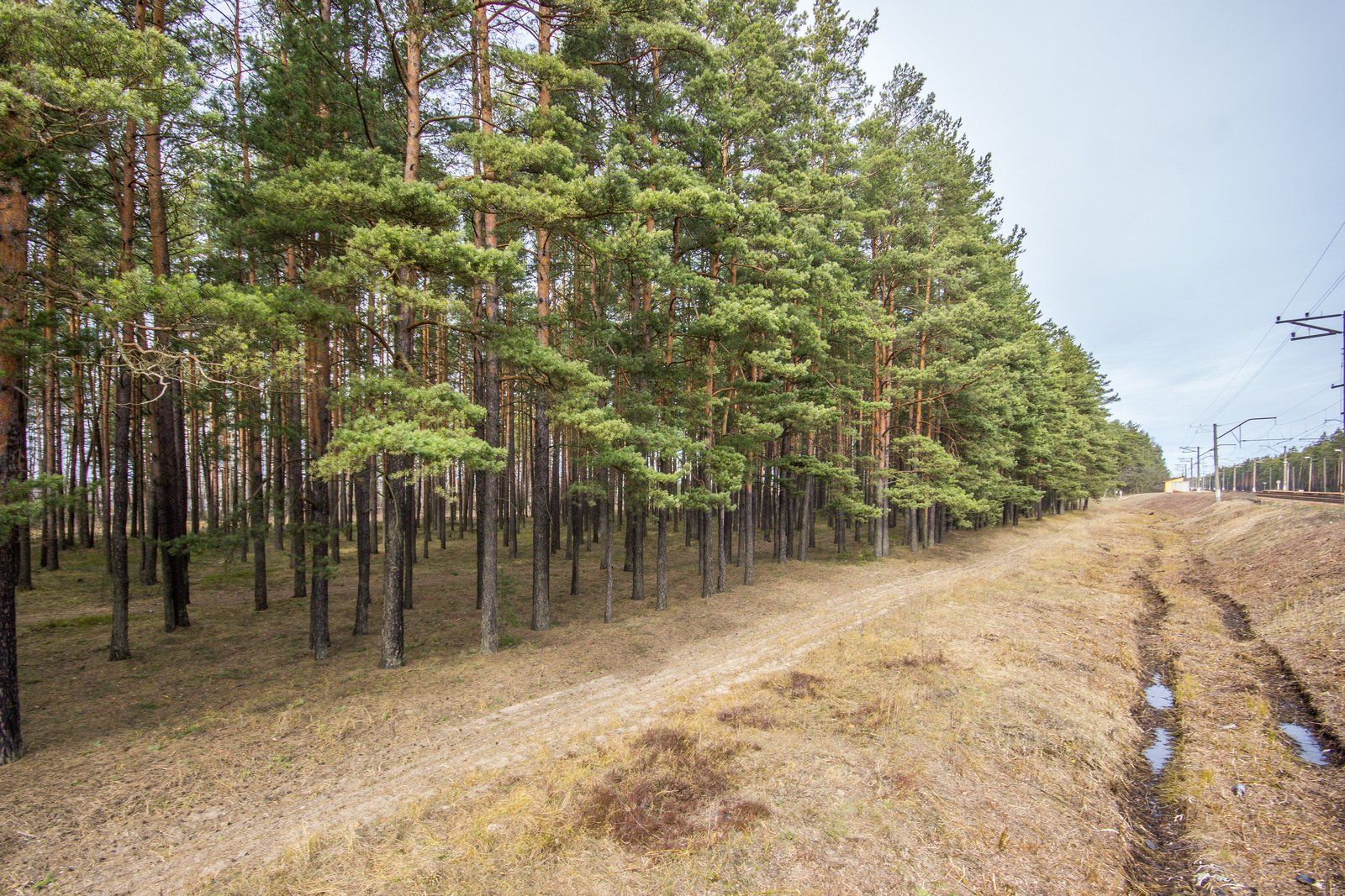 Zemes gabals 5165 m², Vecāķu prospekts, Rīga — attēls 3
