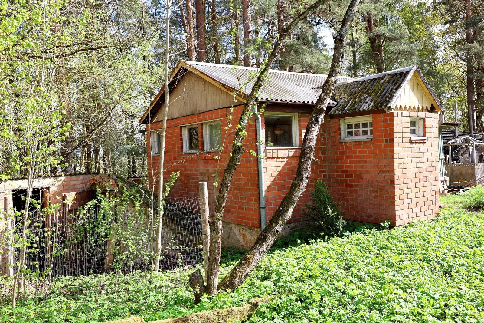 Privātmāja 34 m², Kūku pagasts — attēls 2