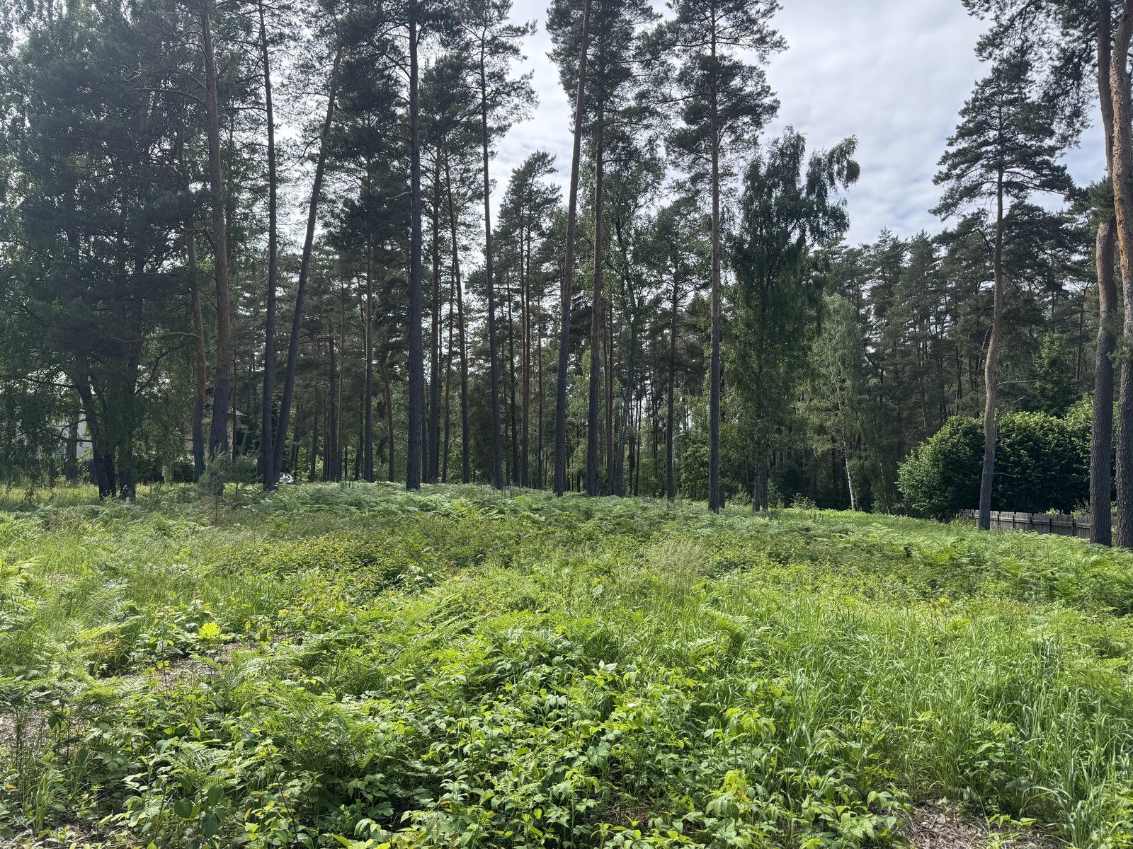 Zemes gabals 5512 m², Ādažu iela, Garkalnes pagasts — attēls 5