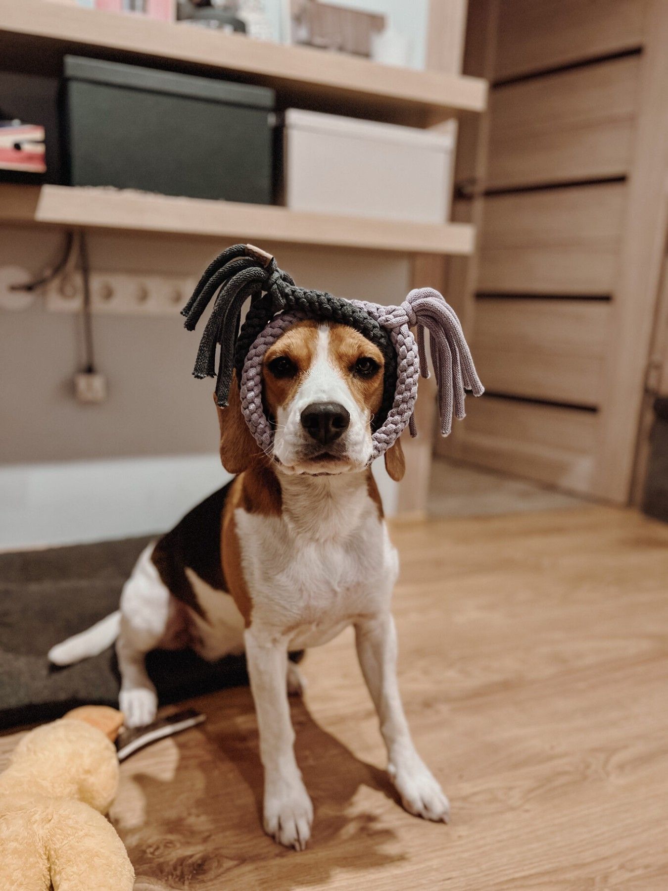 Rotaļu virve Two Trouble Tails, suņiem — attēls 3