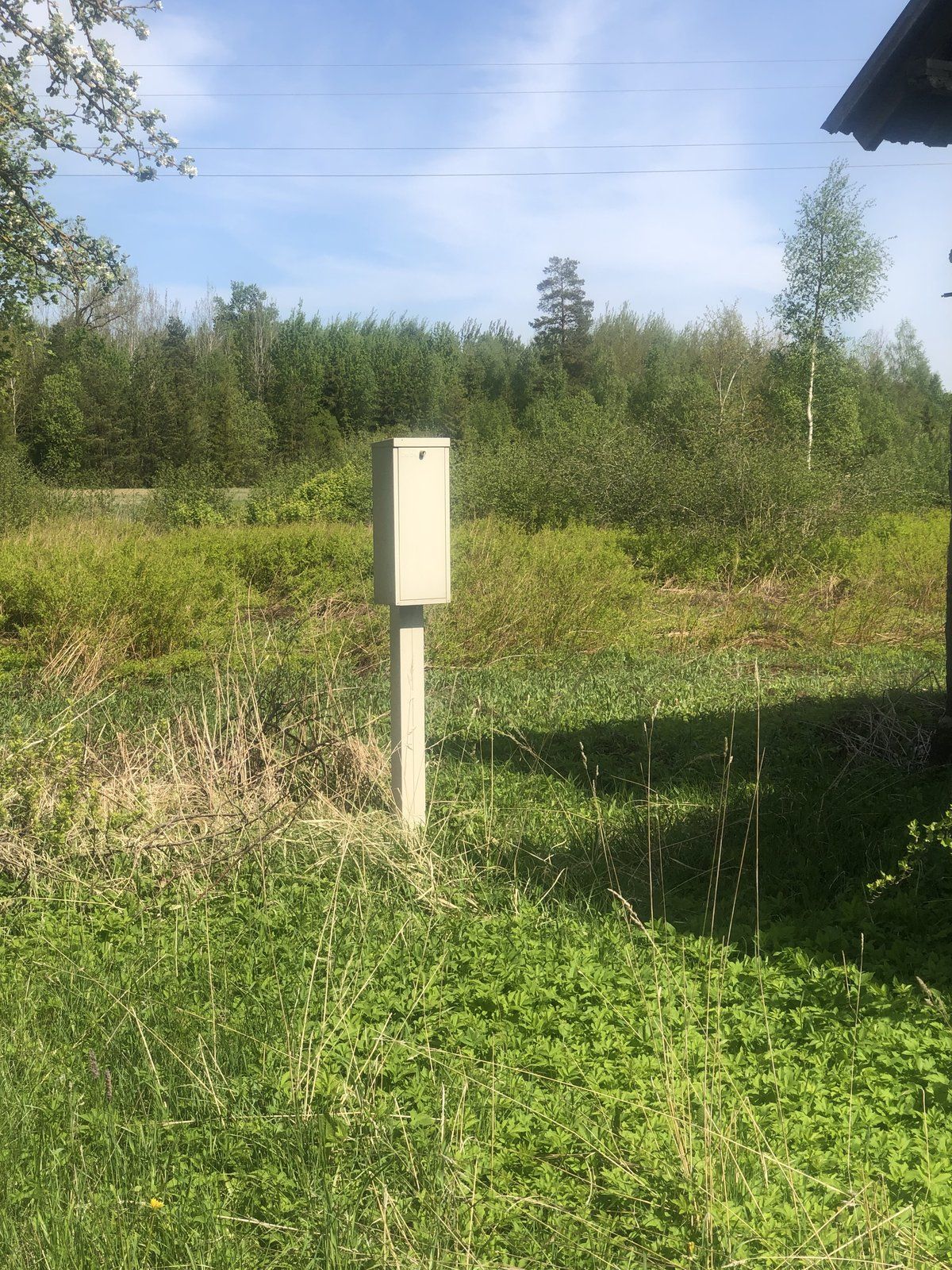 Zemes gabals 2 ha, Zemītes pagasts — attēls 3