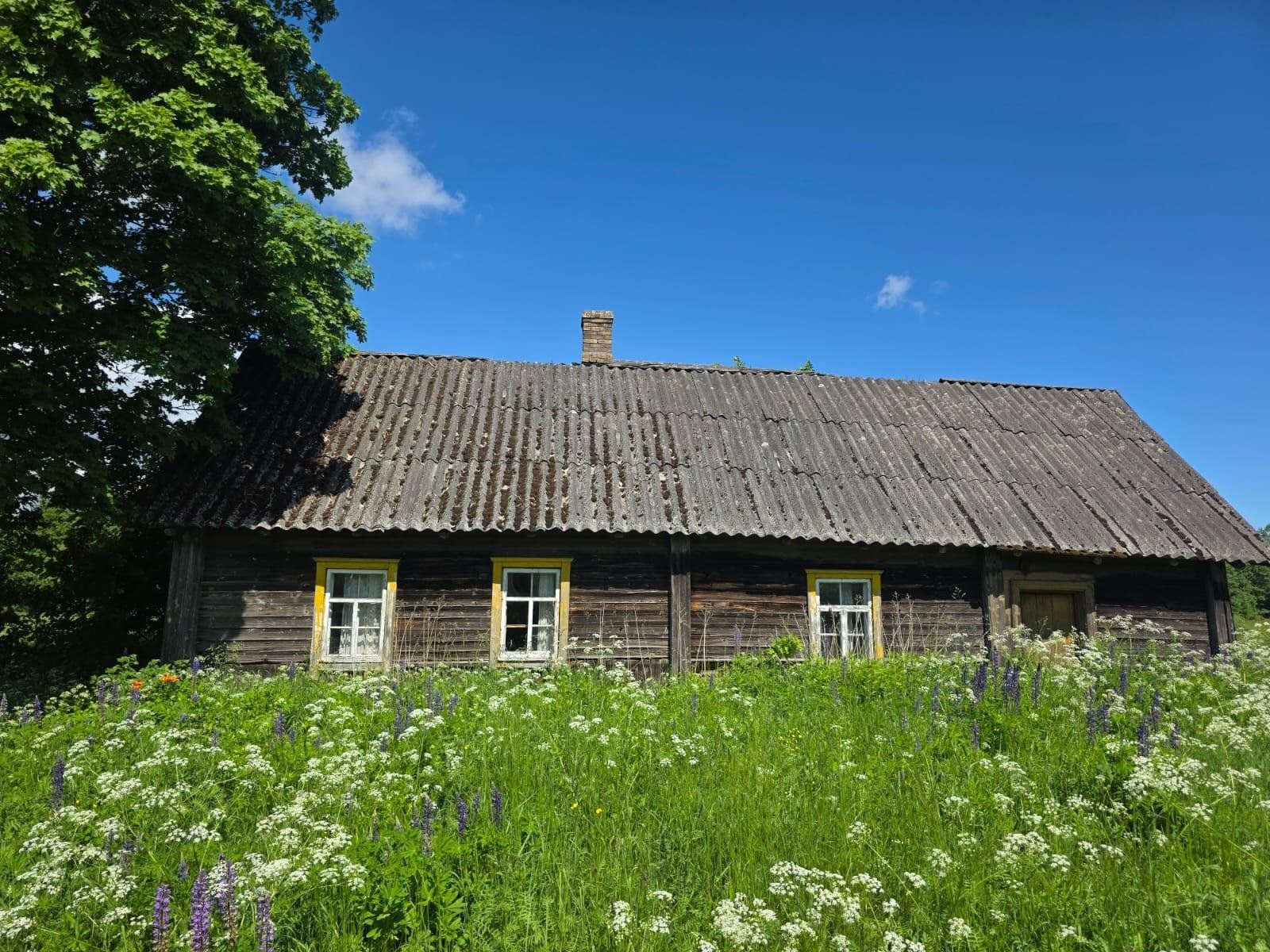 Meža īpašums 17,5 ha, Grantskalni, Astašova — attēls 4