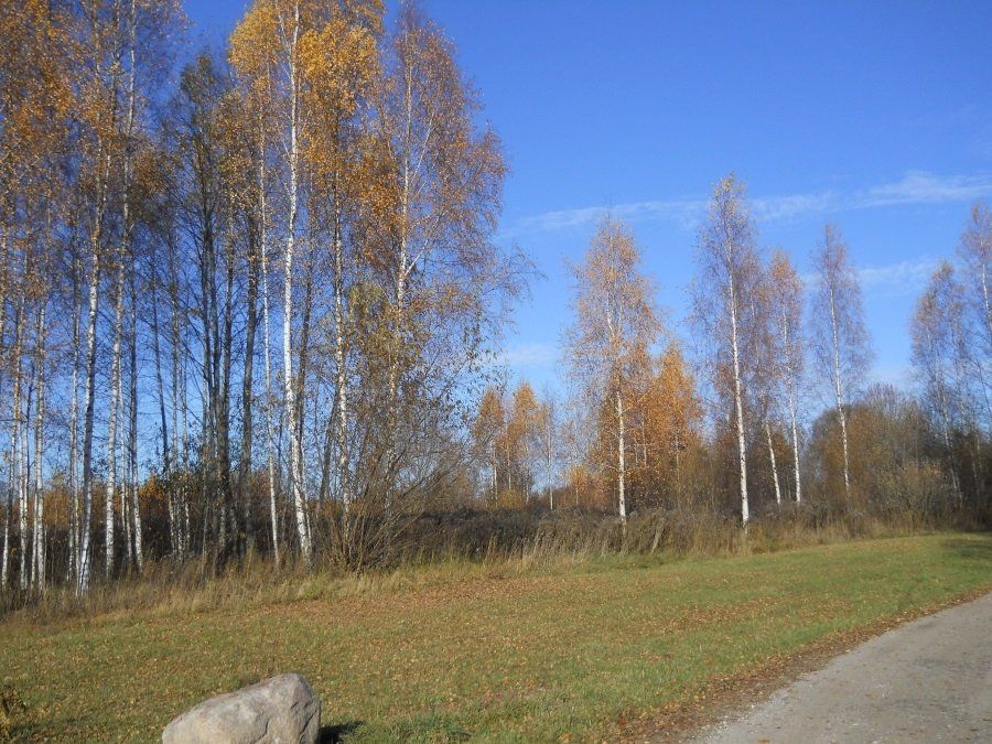 Zemes gabals 9300 m², Kokneses pagasts — attēls 5