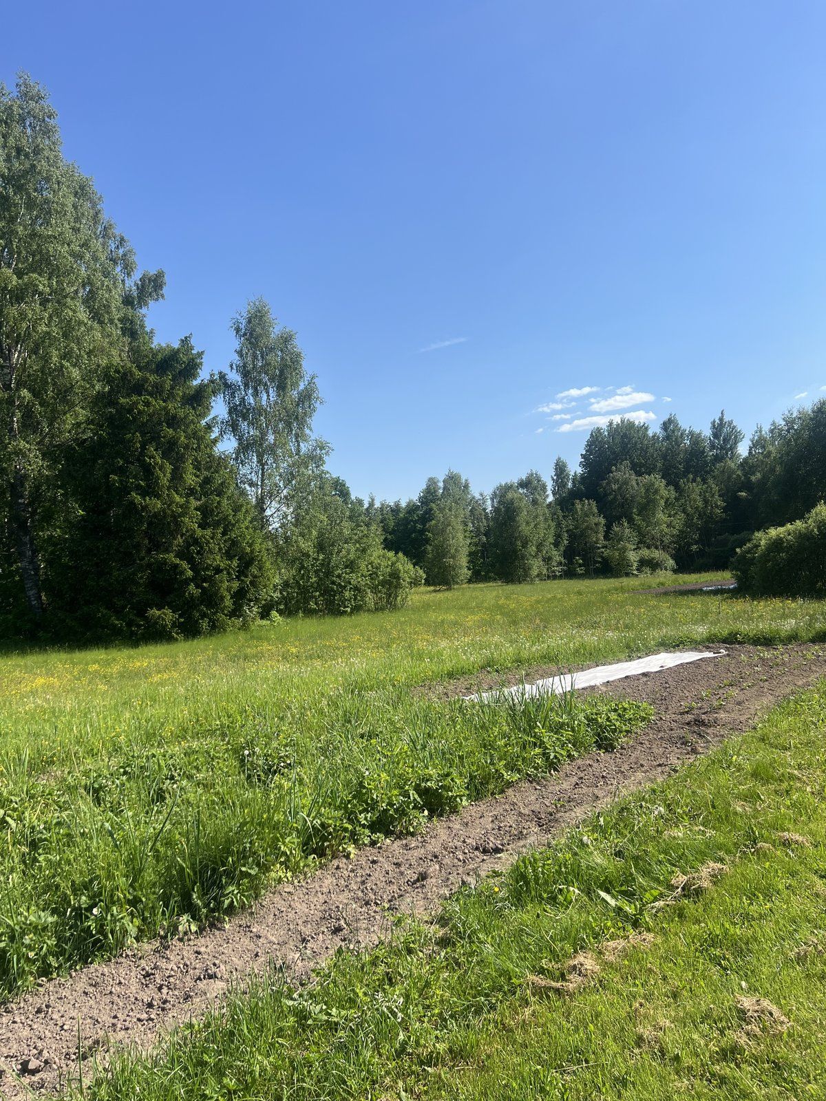 Zemes gabals 8081 m², Smilšu iela, Valdemārpils