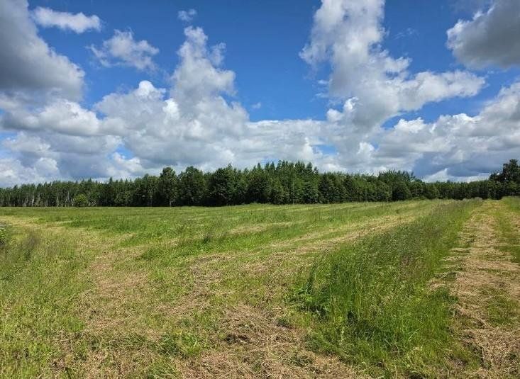 Zemes gabals 40,7 ha, Ķoņu pagasts — attēls 4