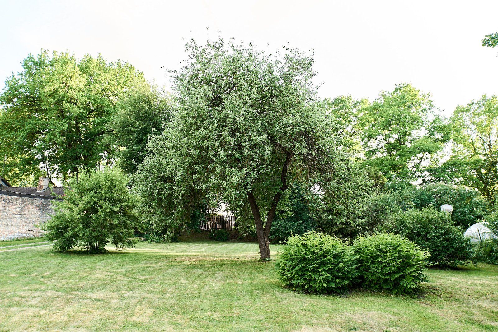Zemes gabals 1277 m², Rucavas iela 11, Rīga — attēls 5